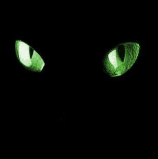 user avatar image for aTinyGreenDragon