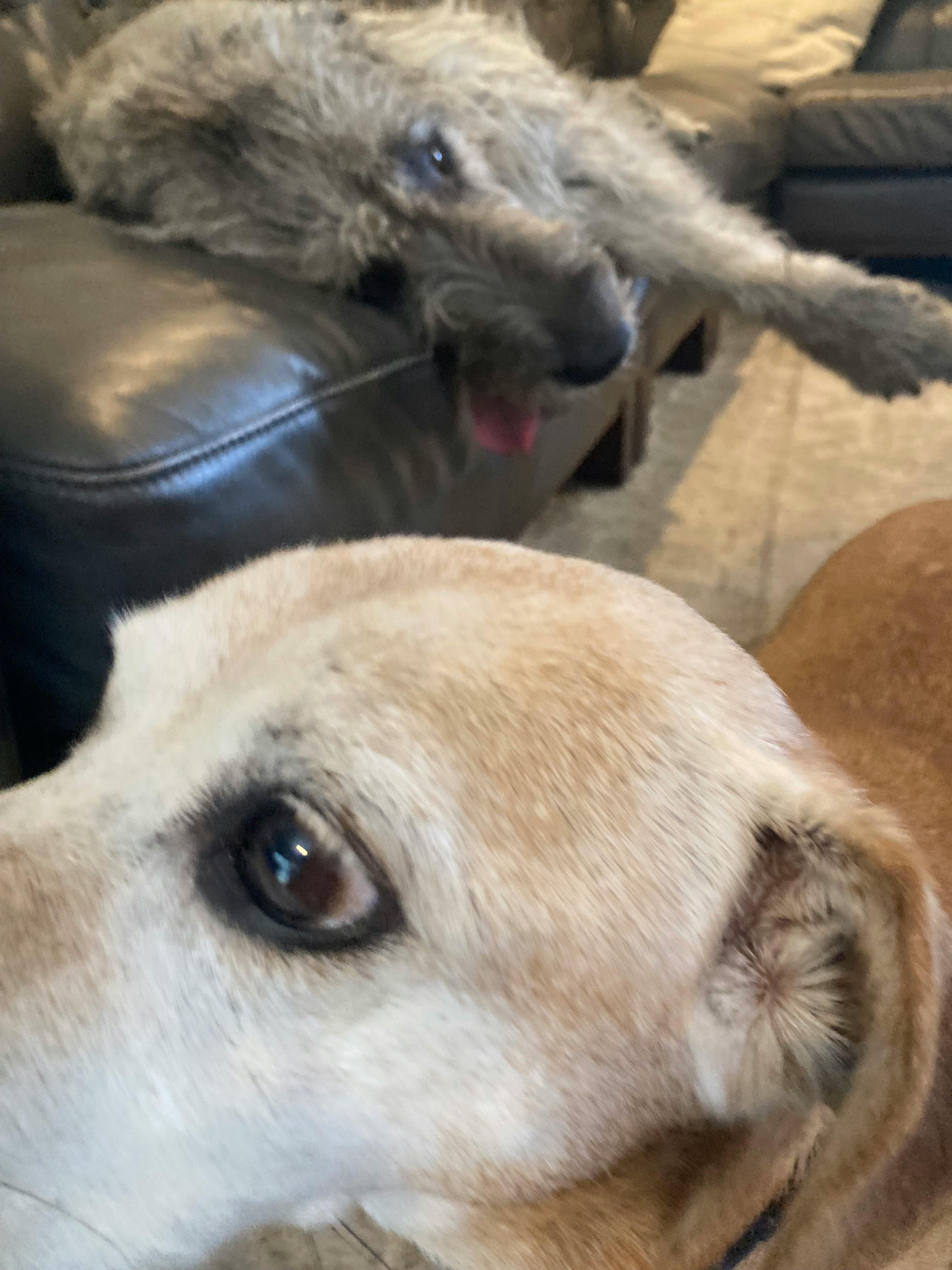 user avatar image for Charles 