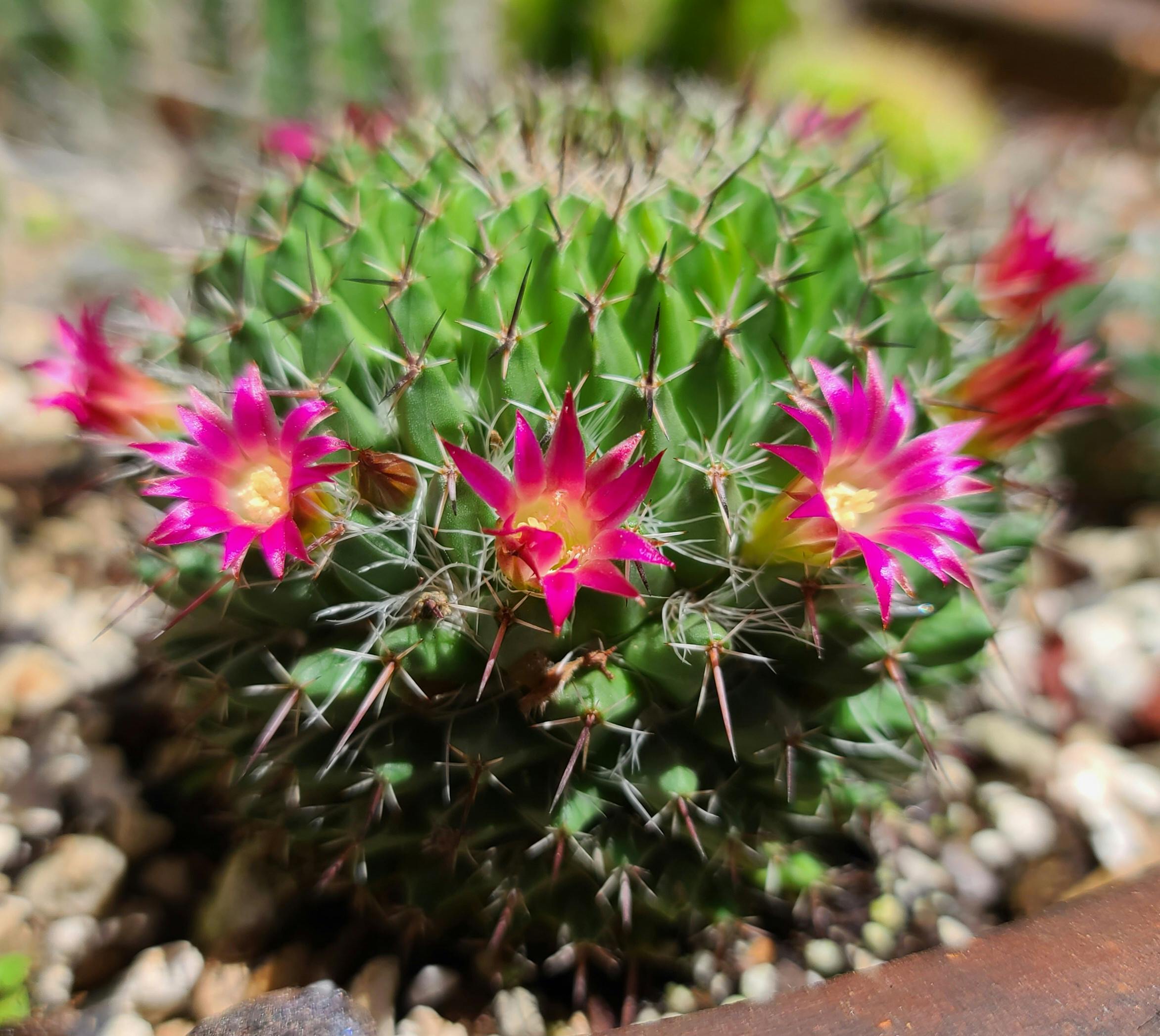 user avatar image for Renee C