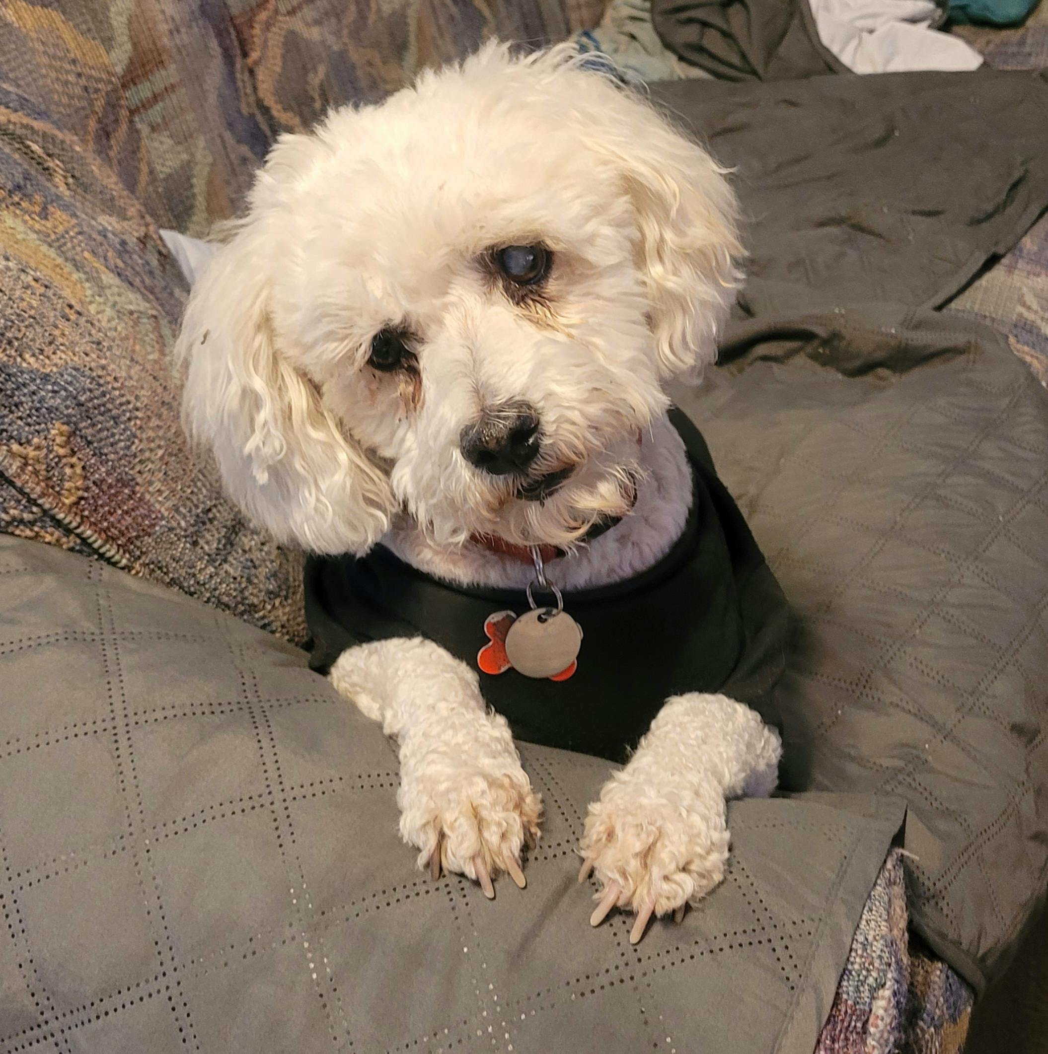 user avatar image for Rachel Fotheringham