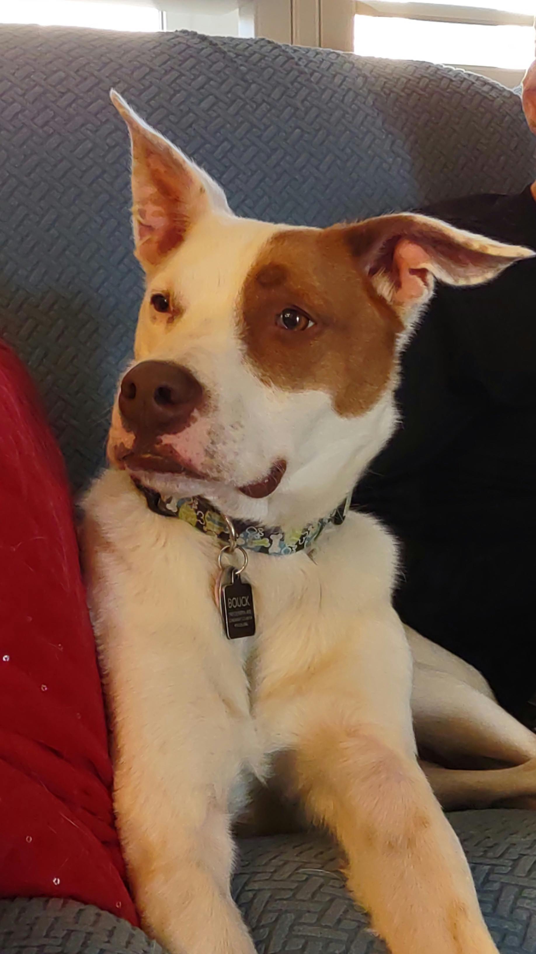 user avatar image for Meep2306