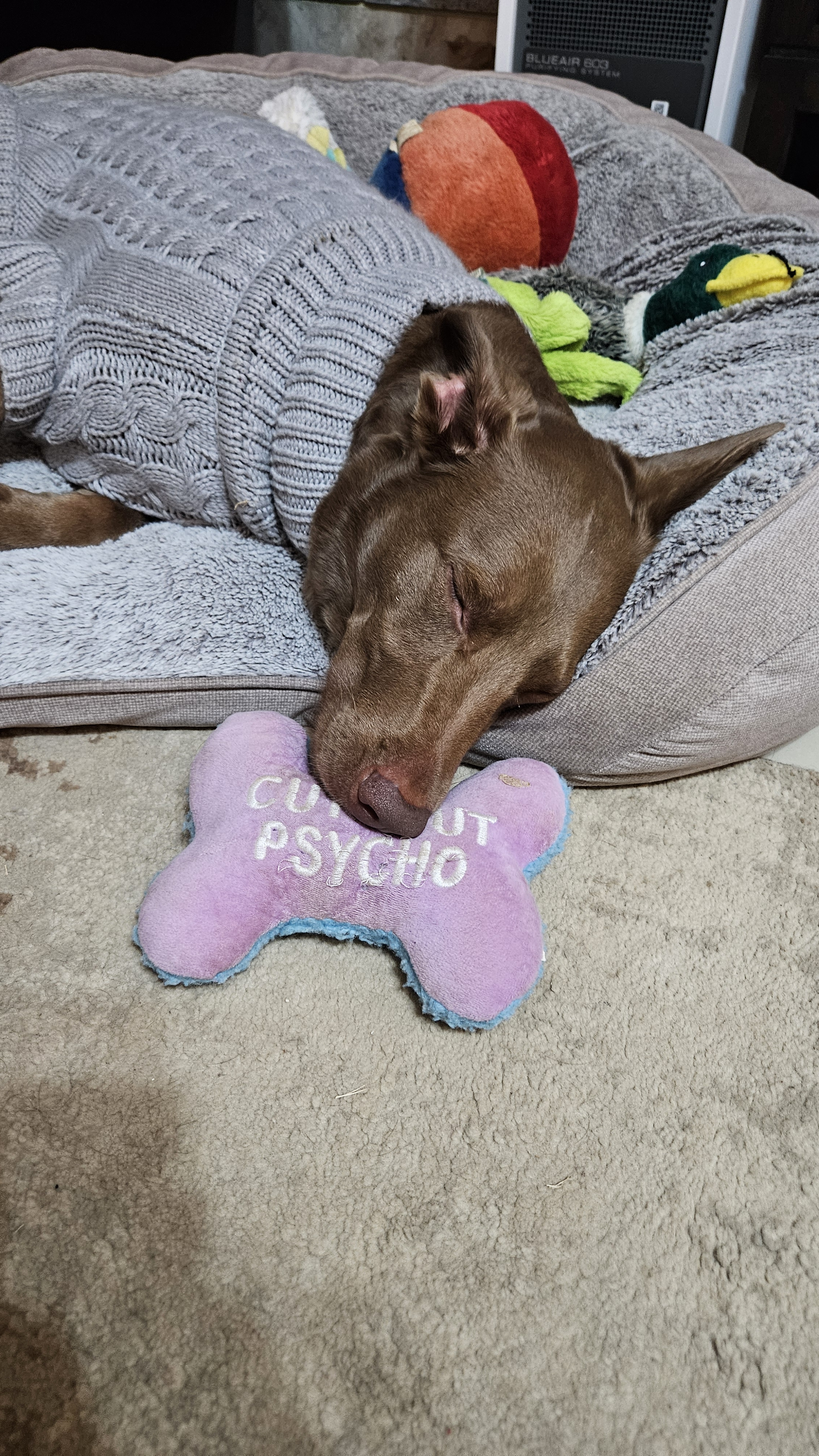 user avatar image for Jim