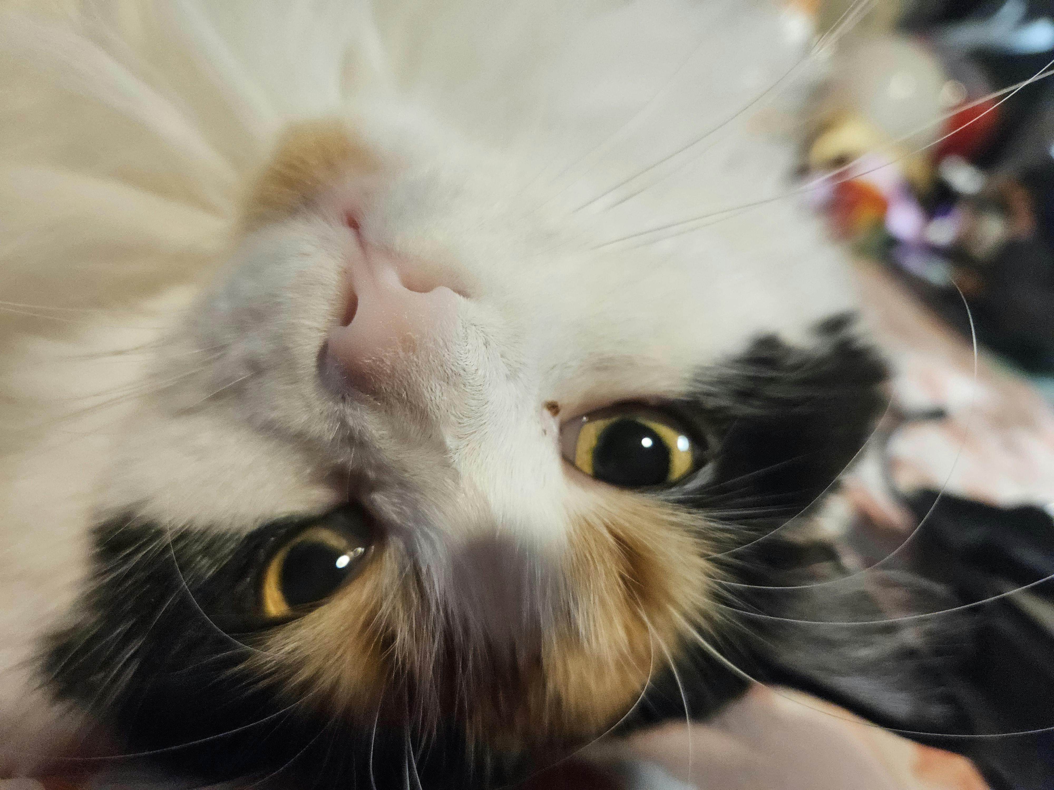 user avatar image for Grumpy