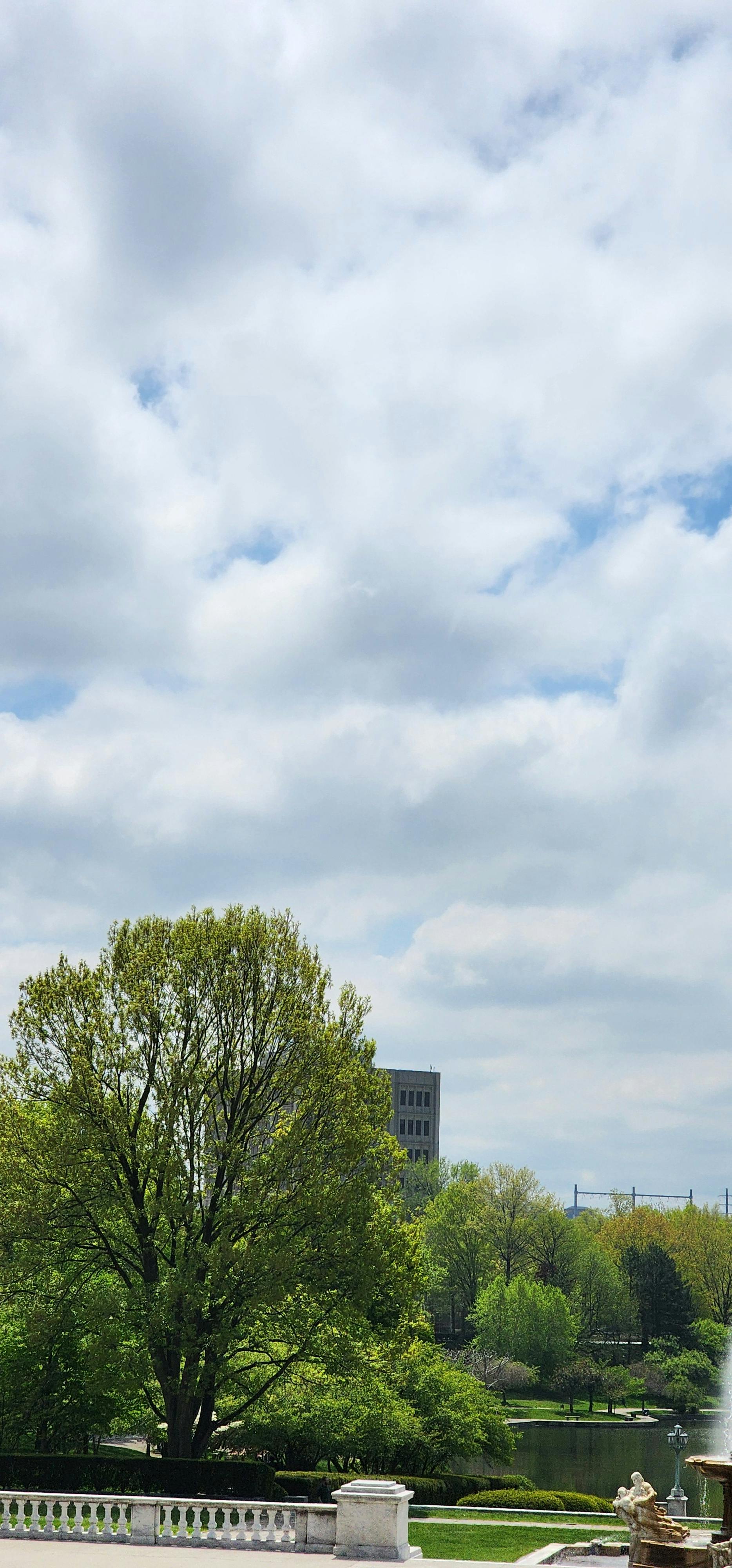 user avatar image for Les Kocin