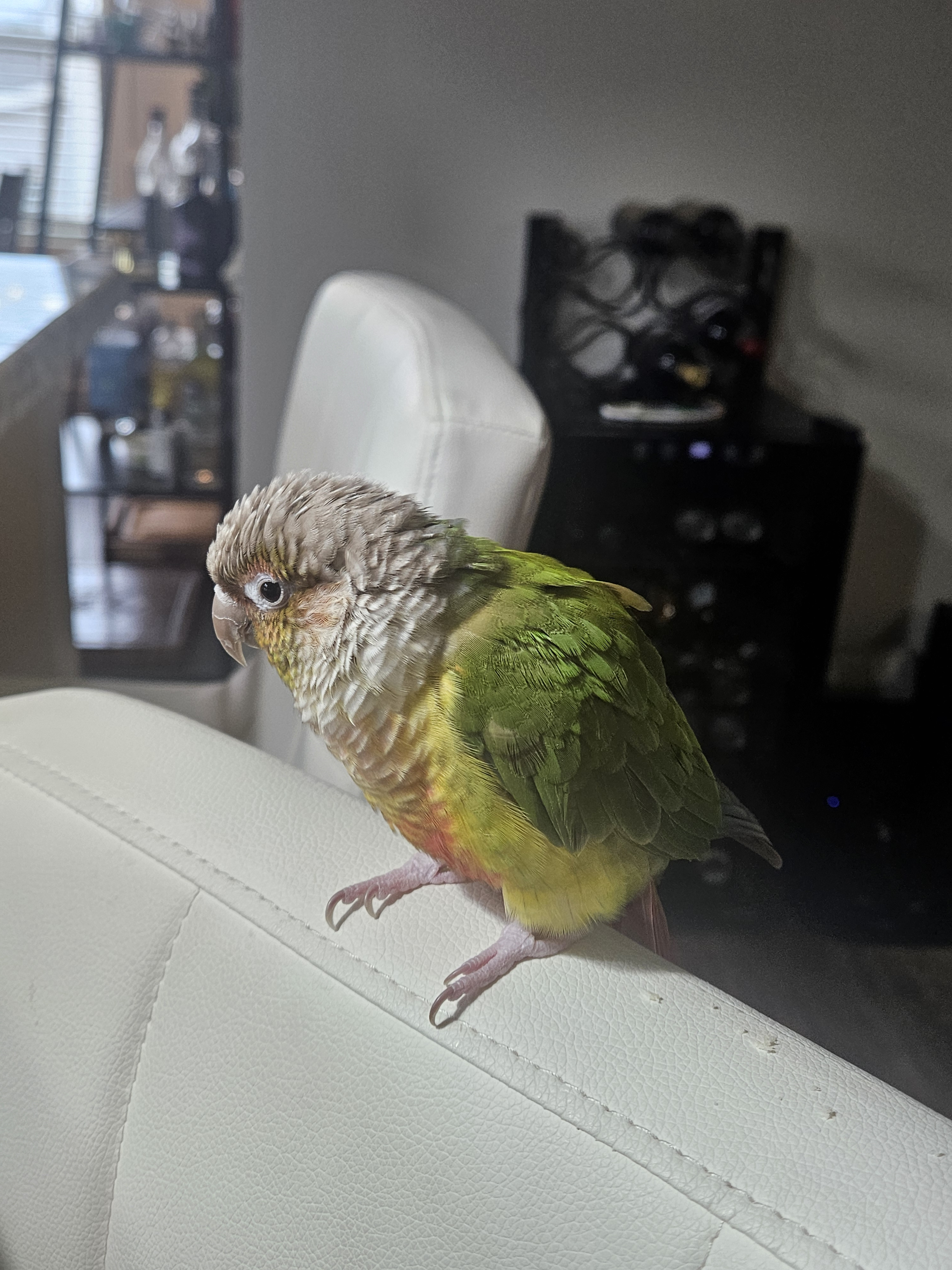 user avatar image for SuperStar