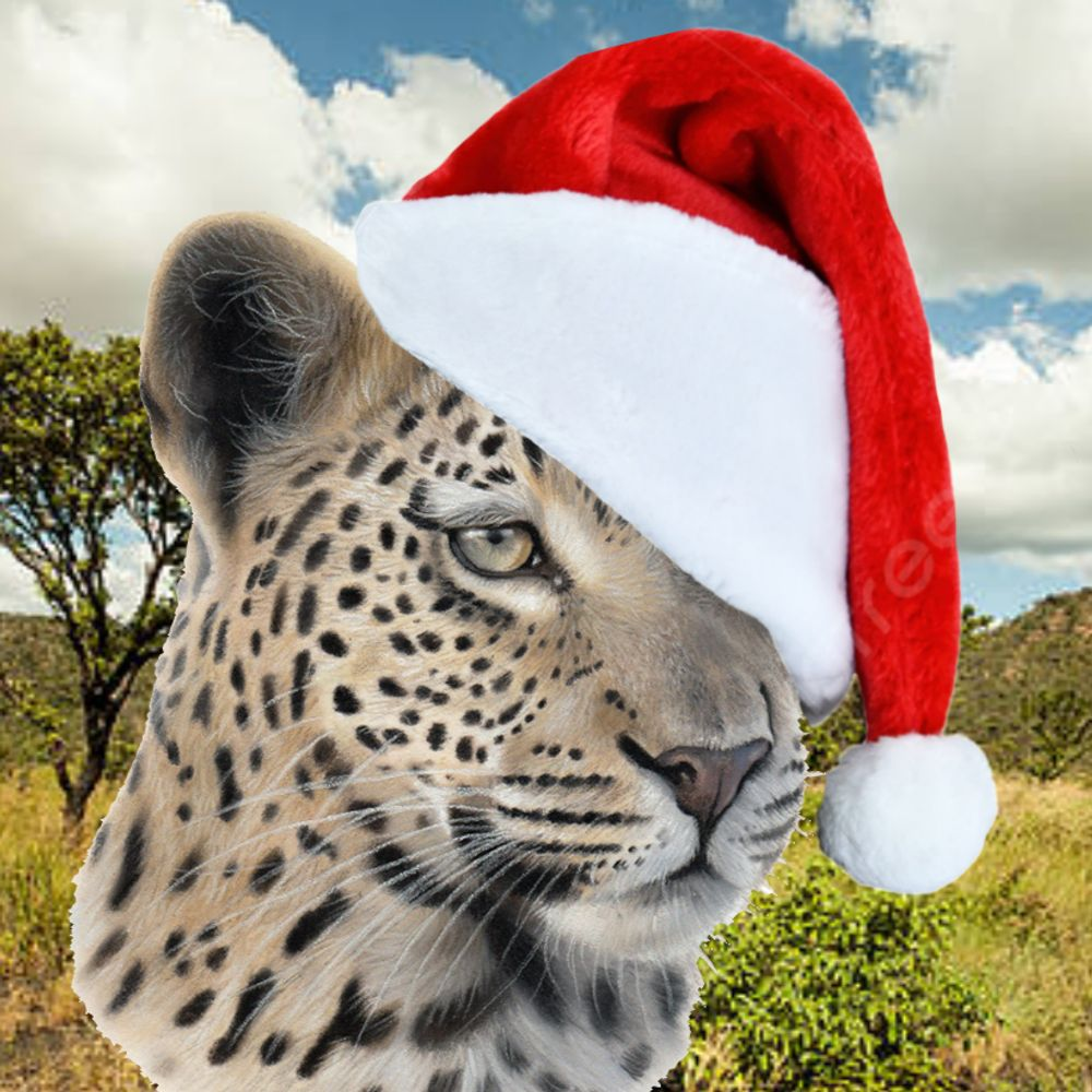 user avatar image for Joseph Keckley