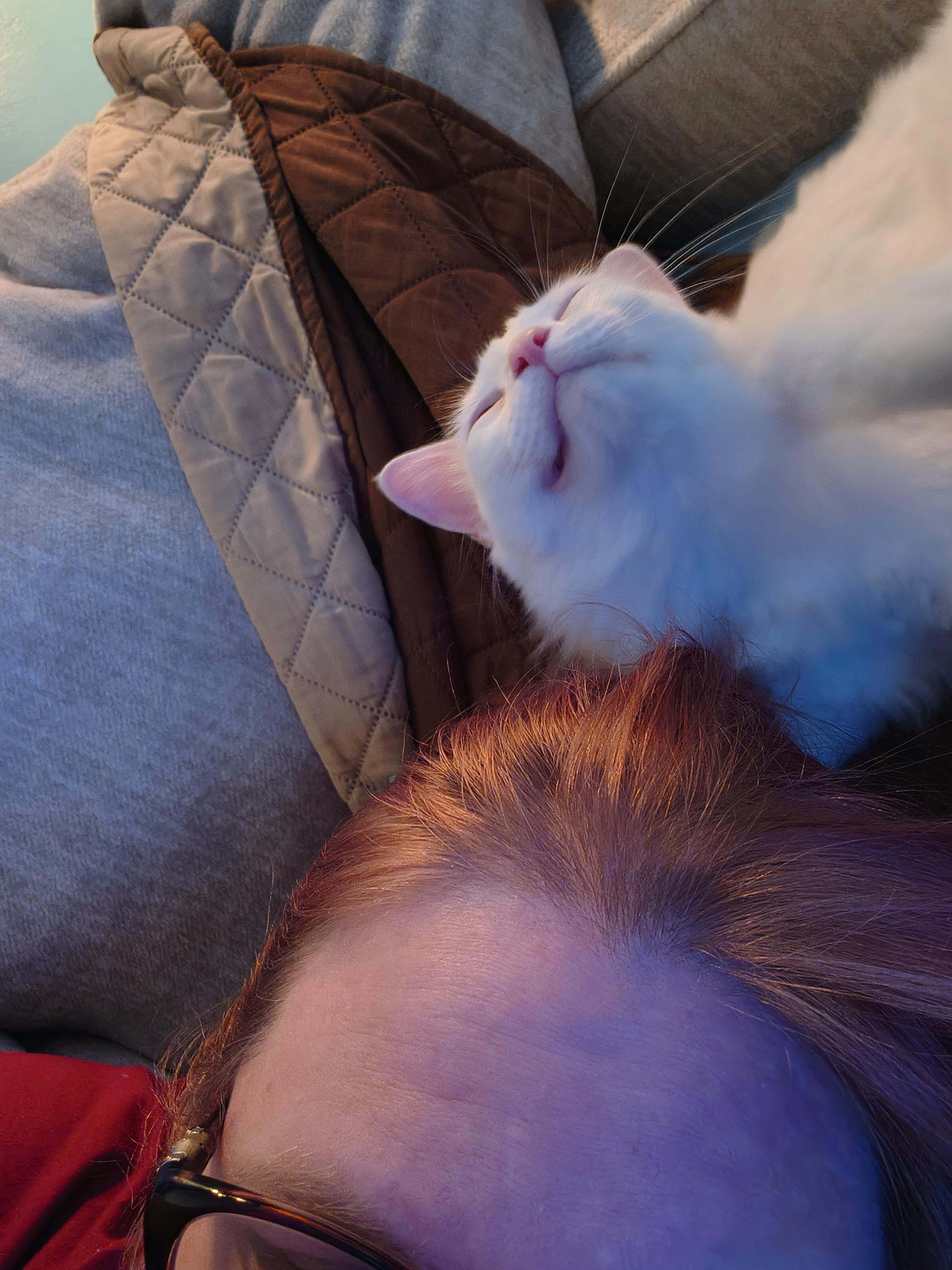 user avatar image for Rhianna