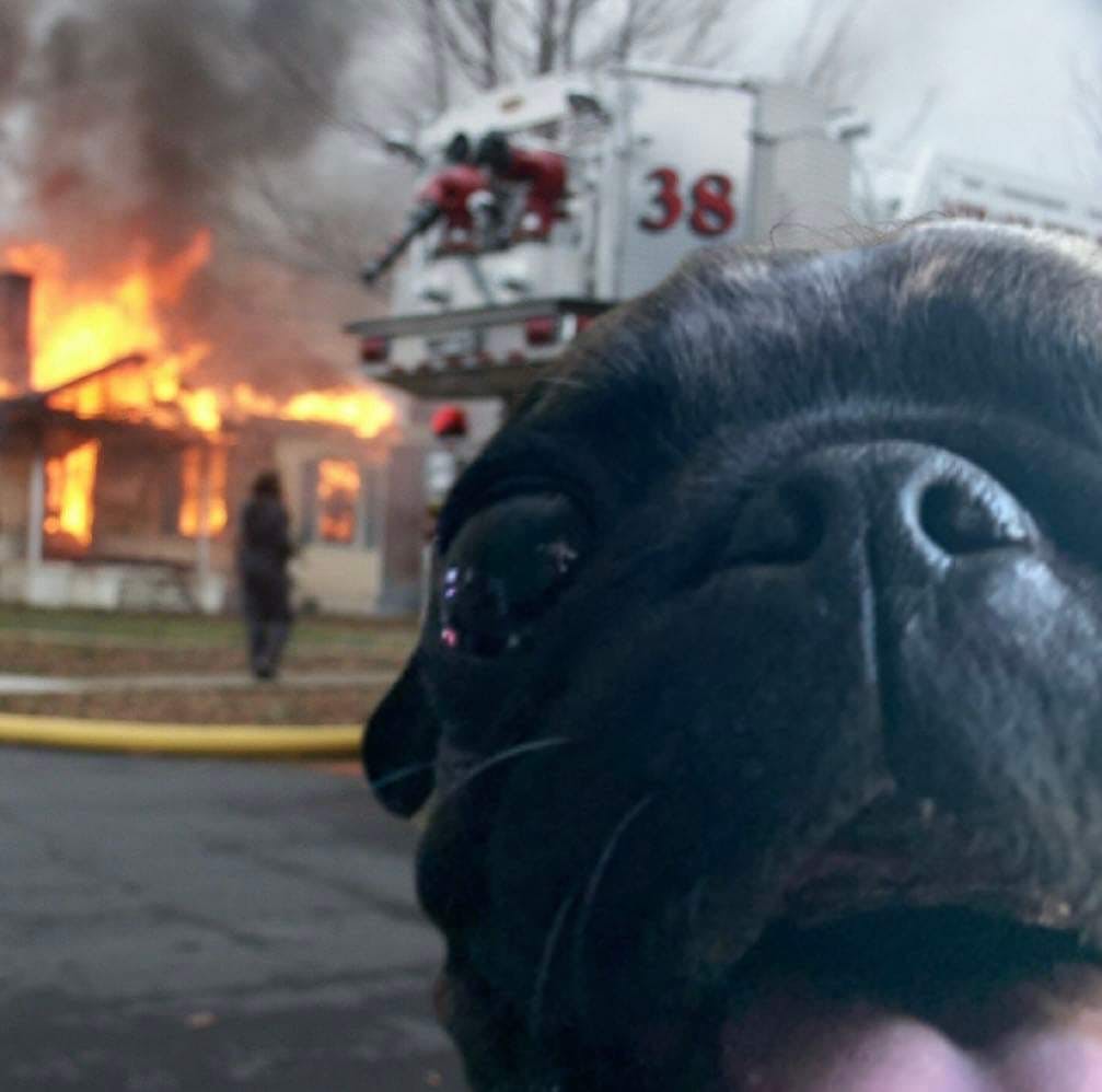 user avatar image for archanchovy 