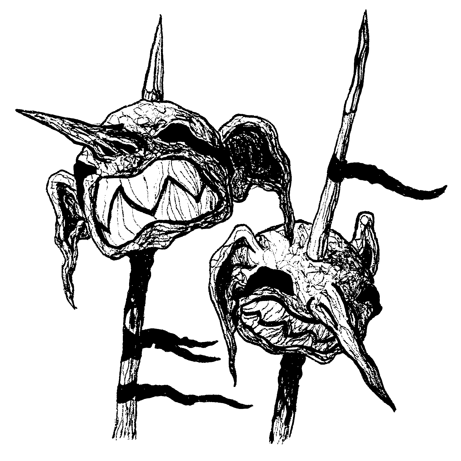 user avatar image for Fedmar