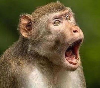 user avatar image for Ari Orrason