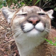 user avatar image for JawaSparky