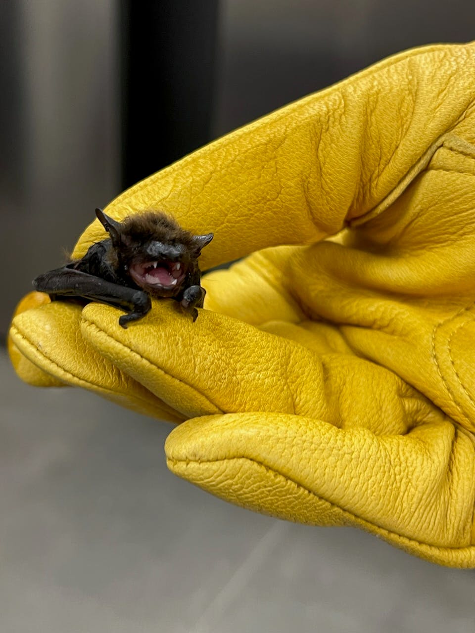 user avatar image for Taylor