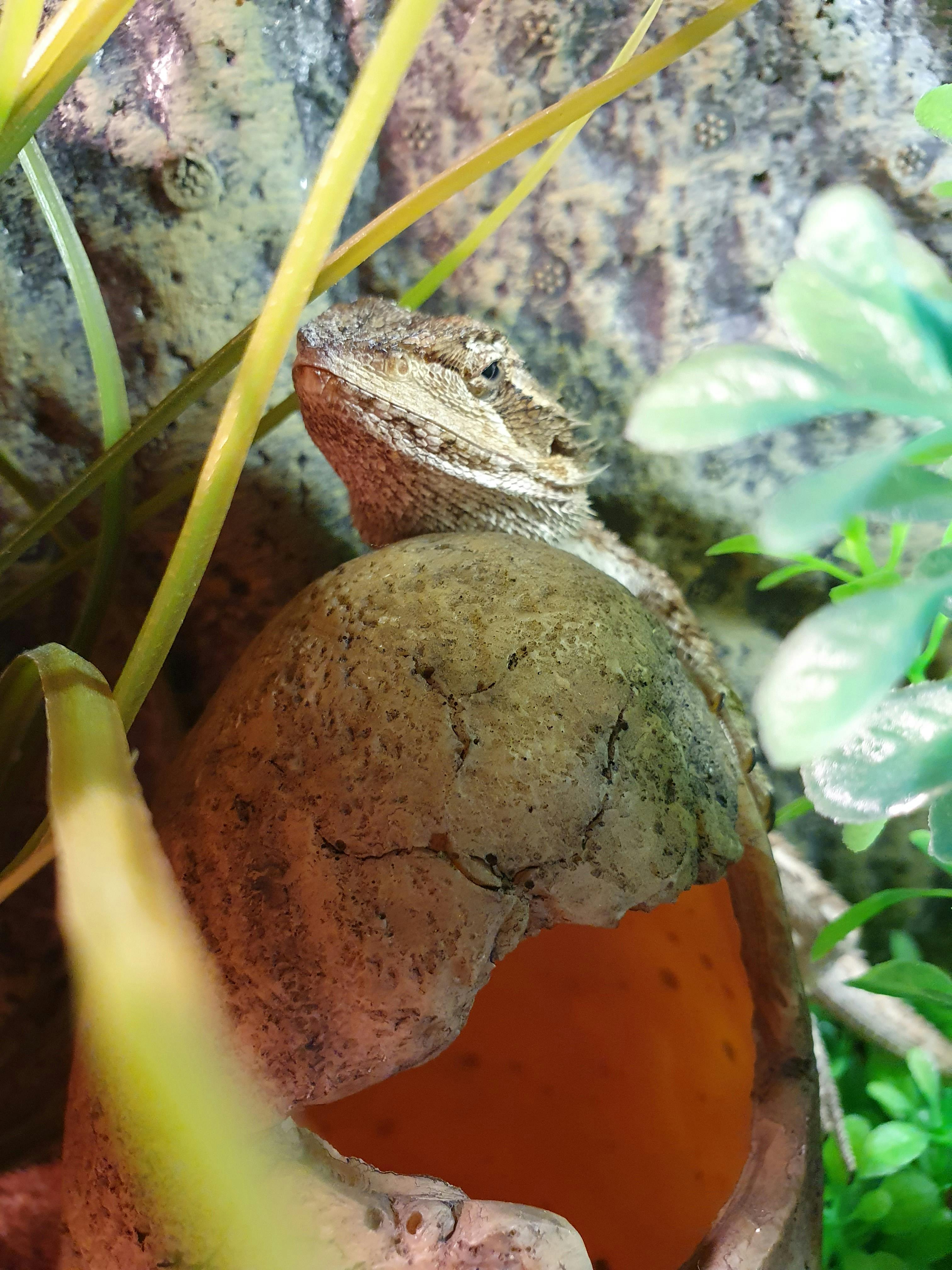 user avatar image for BeaniBon