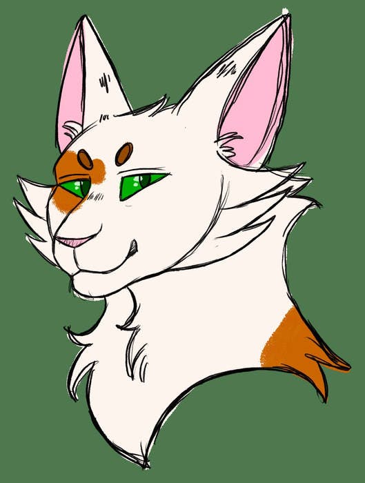 user avatar image for Spottedtime