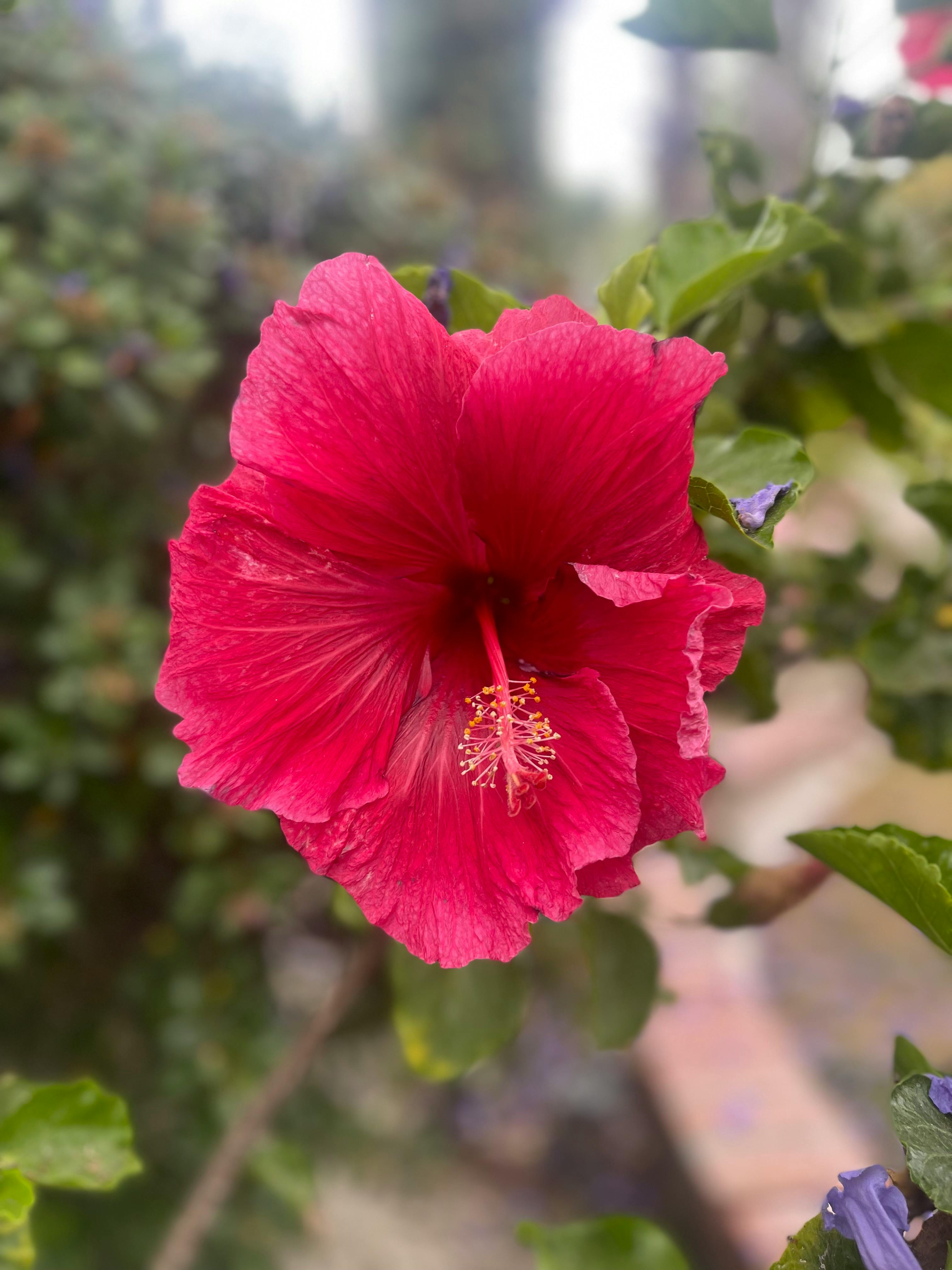 user avatar image for T Howe