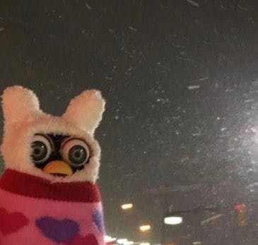 user avatar image for Cere