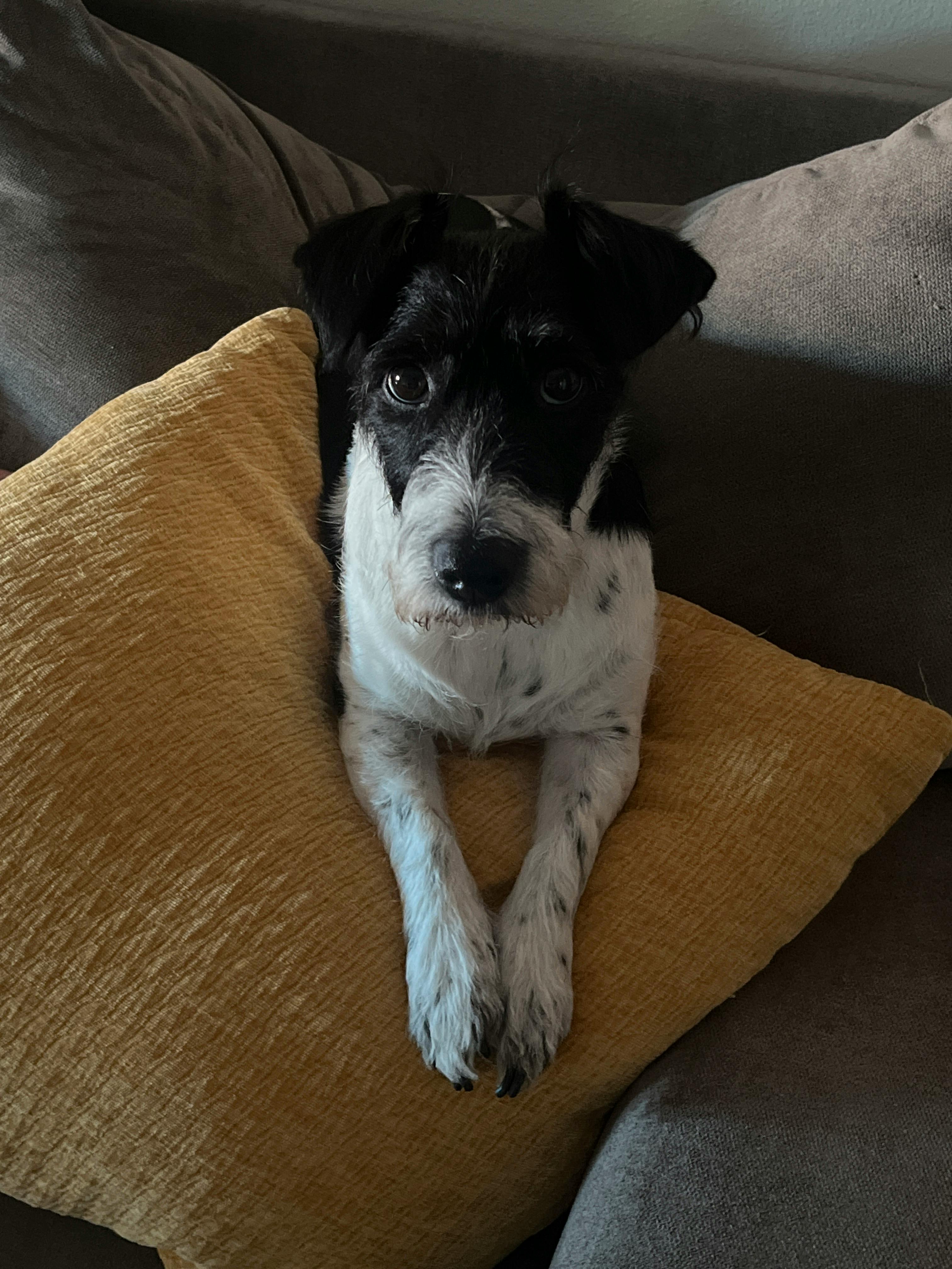 user avatar image for Julie Garcia