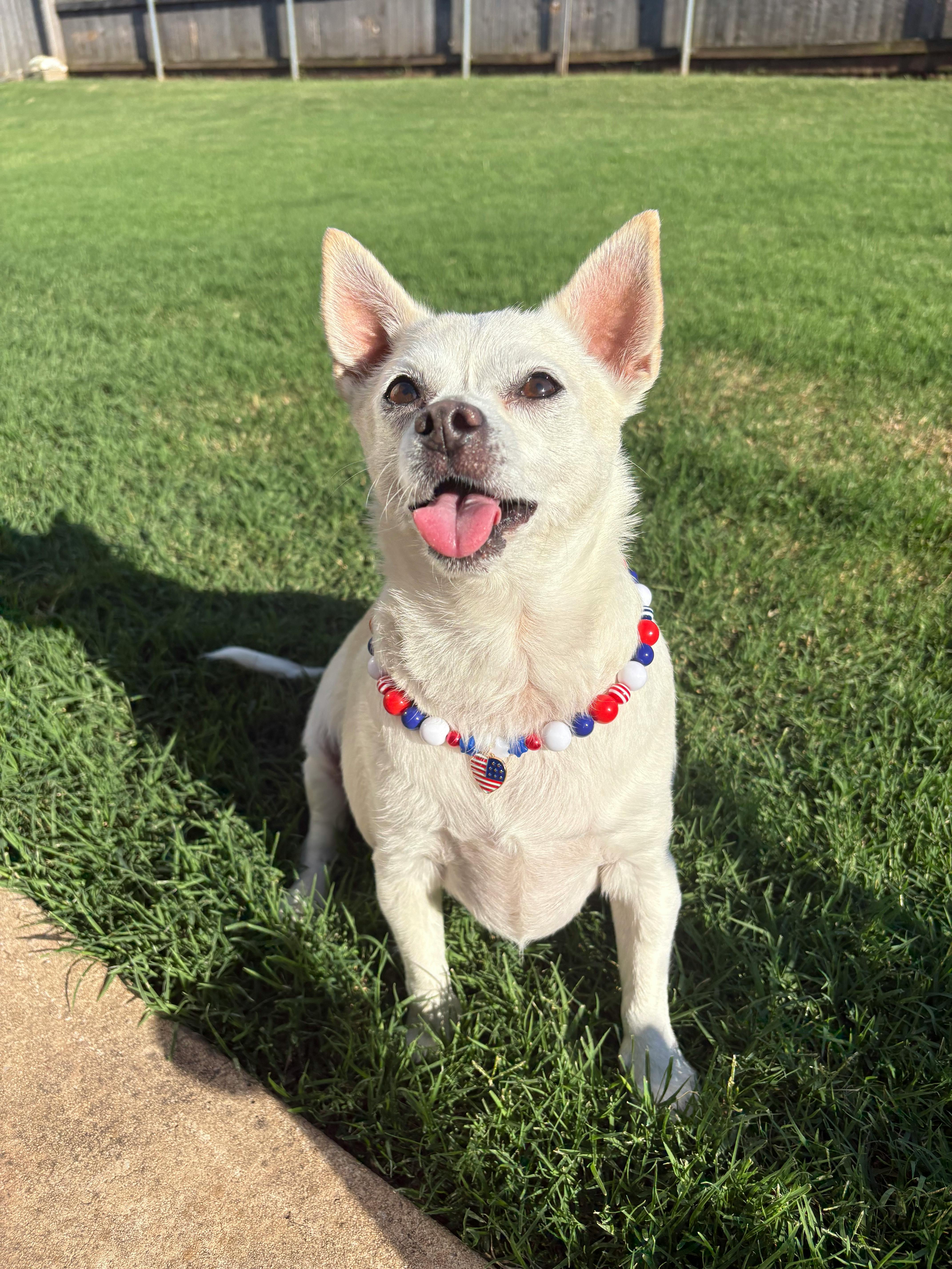 user avatar image for Kayden Harrell