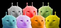 user avatar image for Nidian