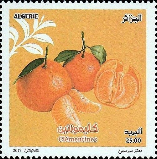 user avatar image for Andrea