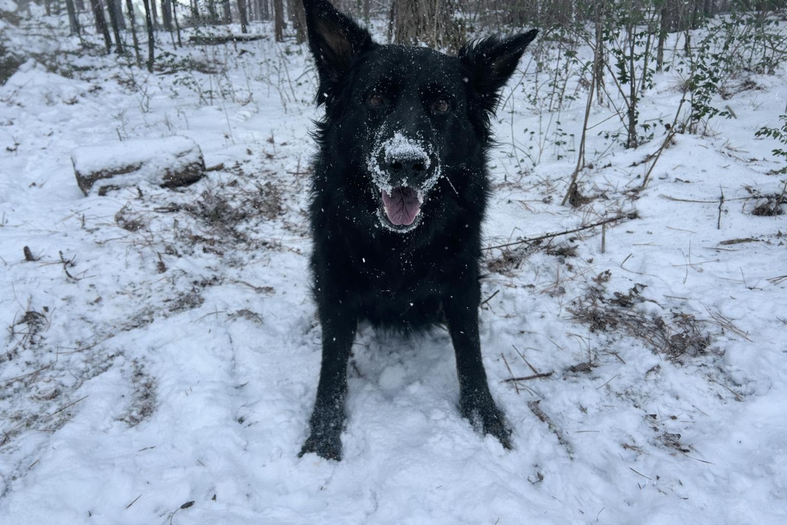 user avatar image for Jordan James