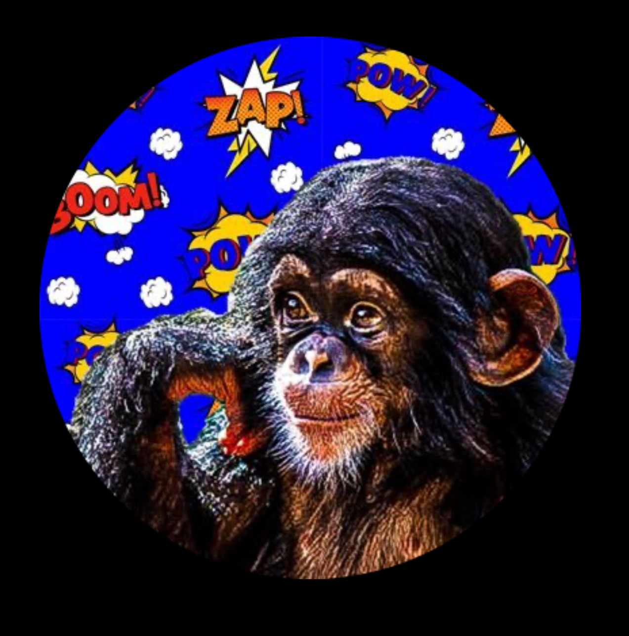 user avatar image for Brazzmunki