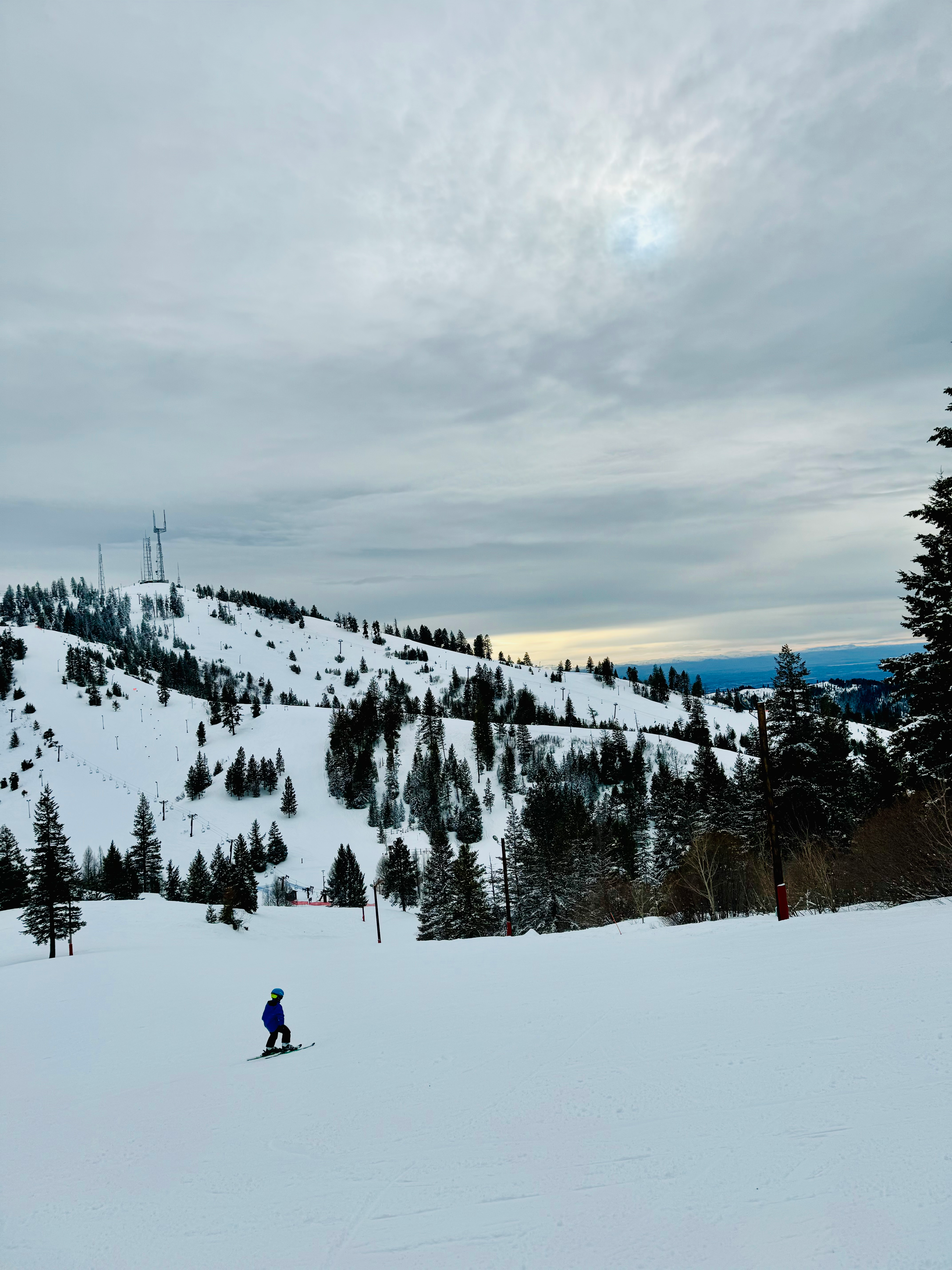 user avatar image for Allison