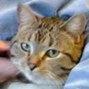 user avatar image for Jay Lapham