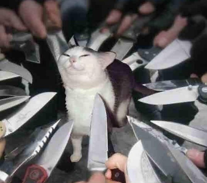 user avatar image for Fryar94