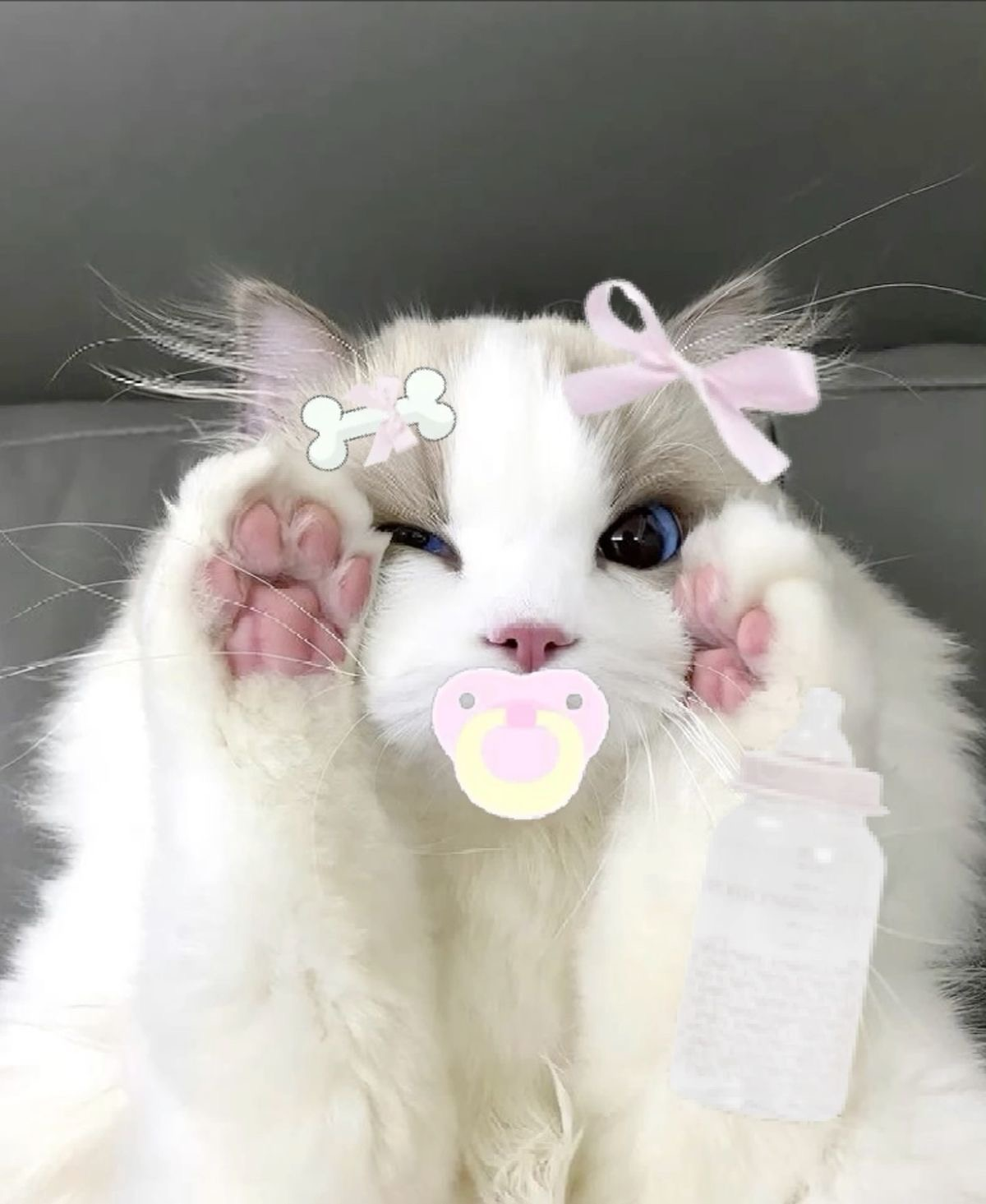 user avatar image for Beth2002