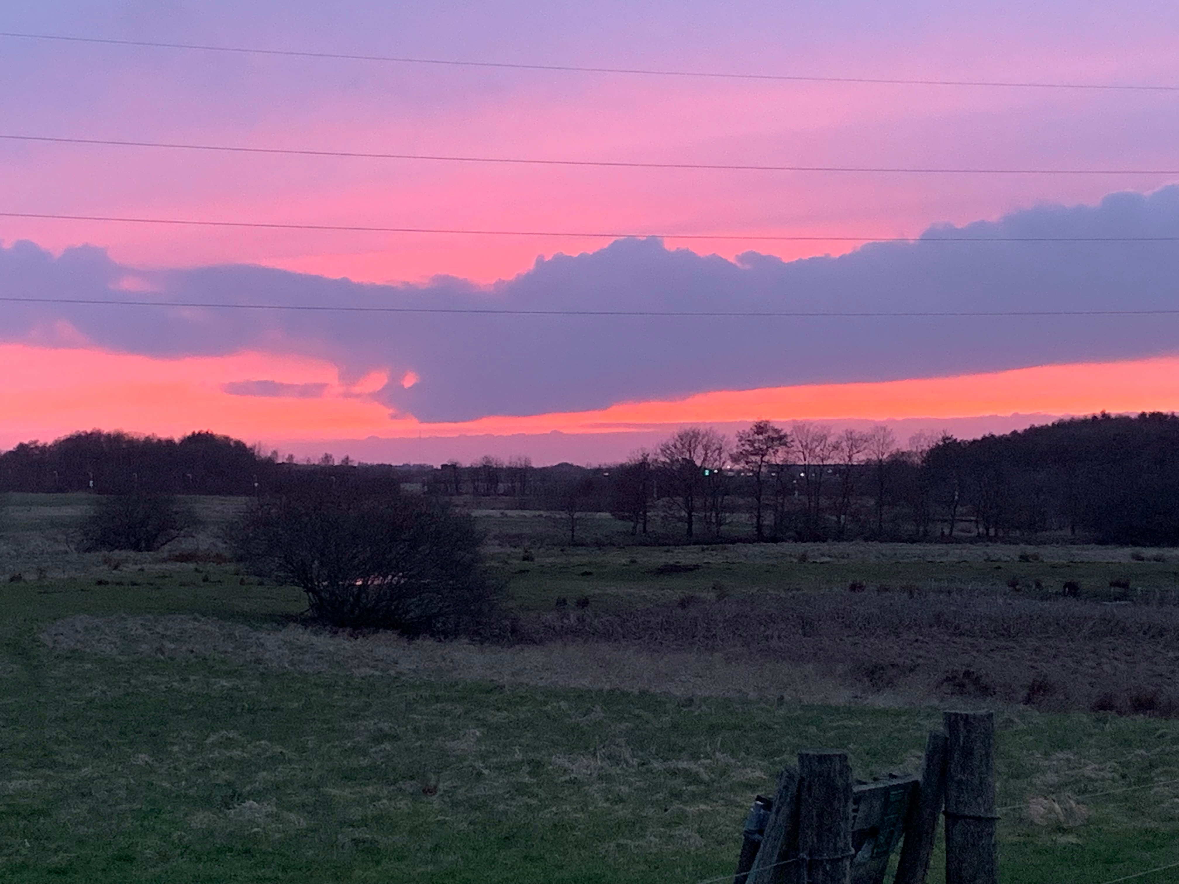 user avatar image for Dina Kjøller