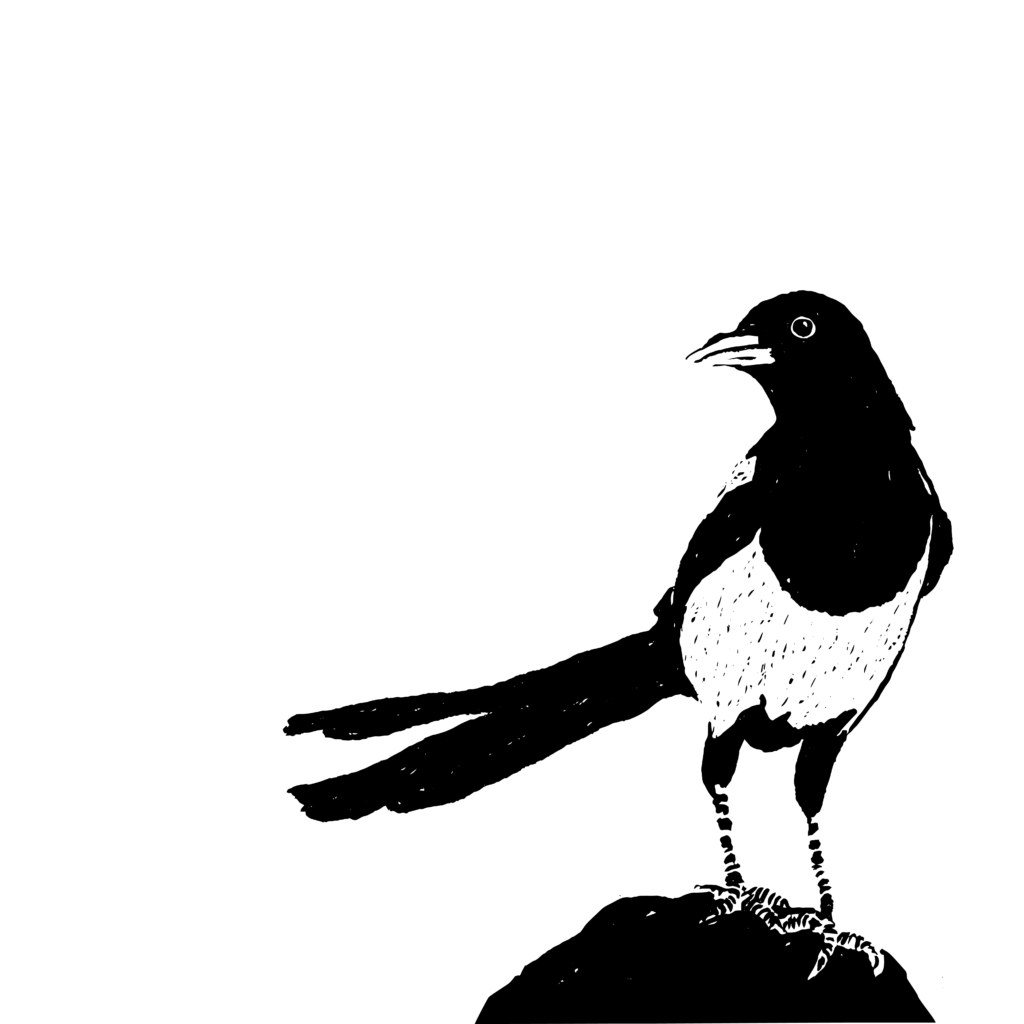 user avatar image for Bill