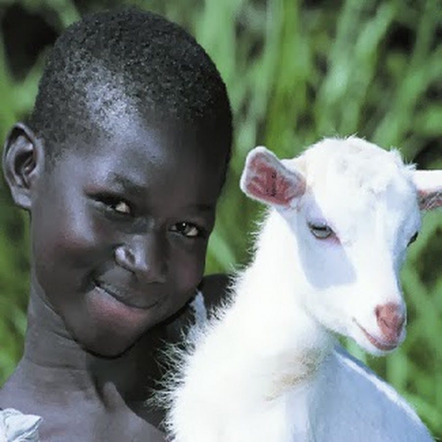 user avatar image for Goatfarmer03 