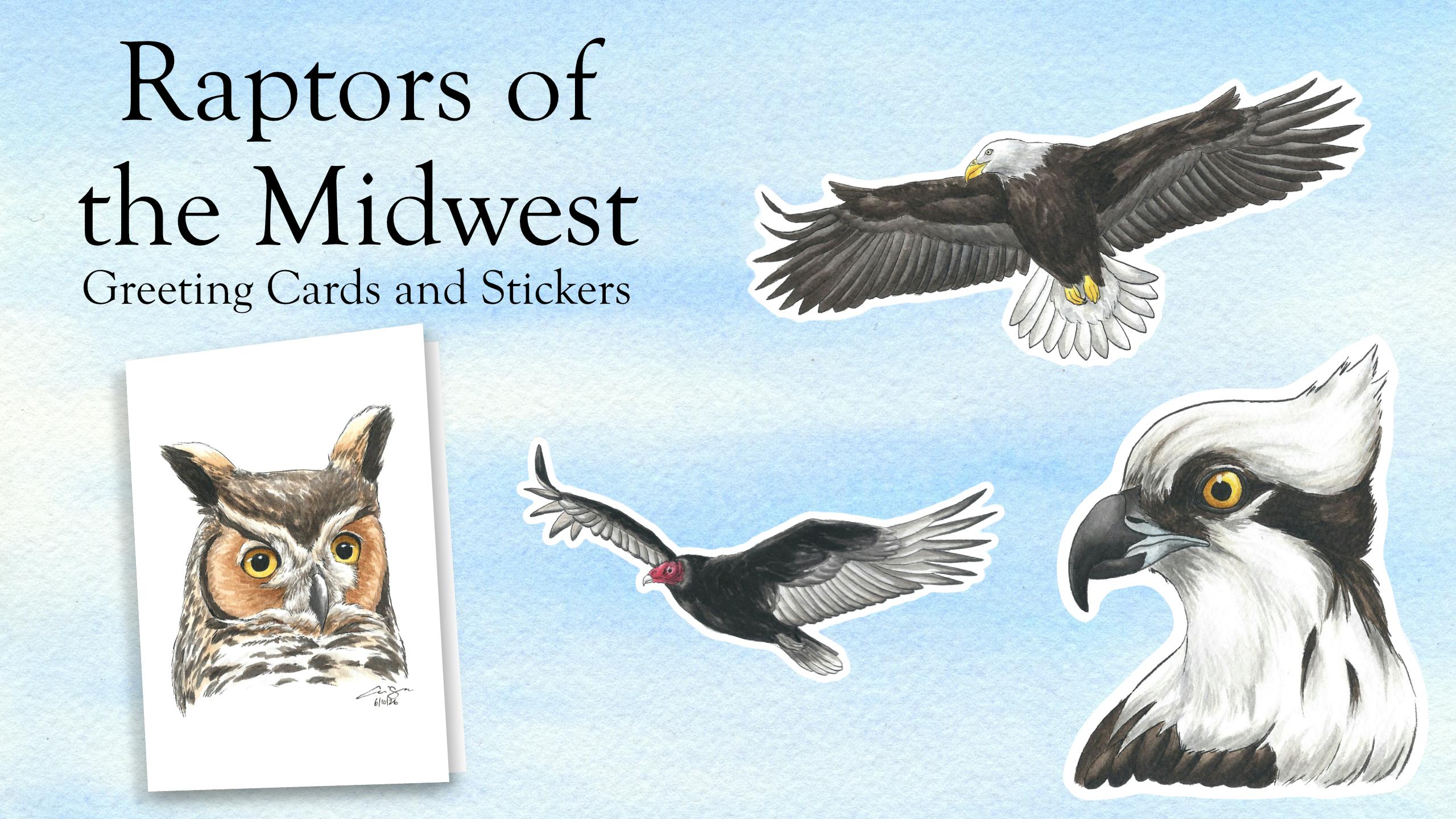 Raptors of the Midwest: Greeting Cards and Stickers