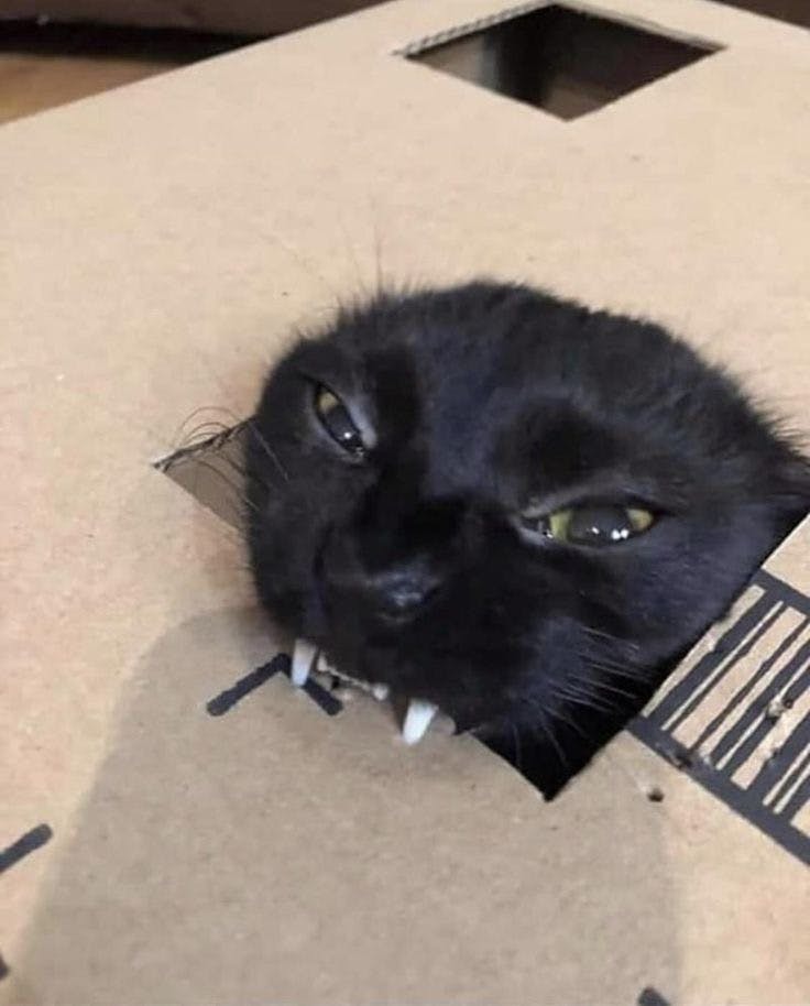 user avatar image for Carissa