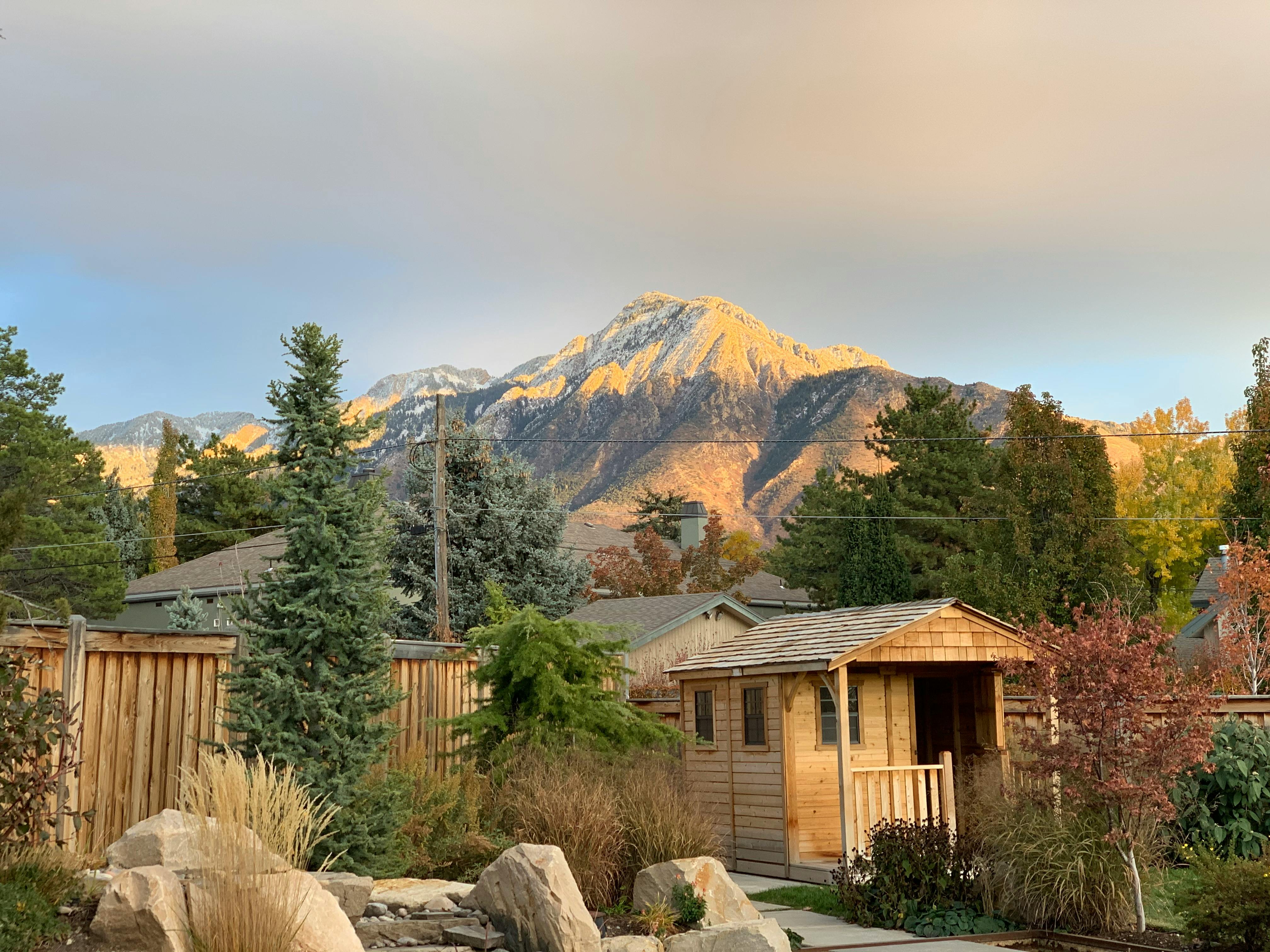 user avatar image for Esion