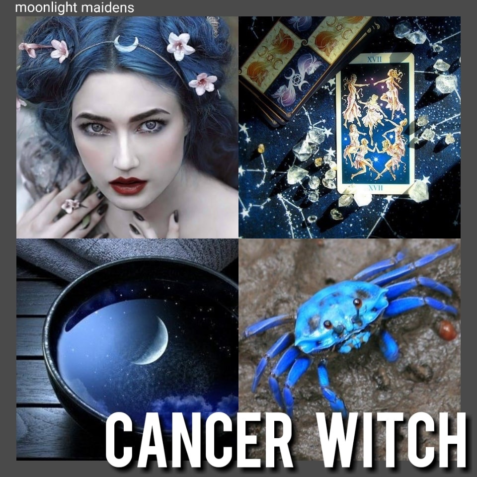 user avatar image for WendyKat