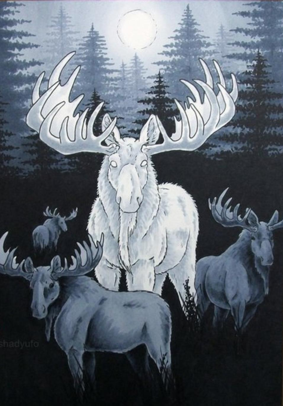 user avatar image for Mad Moose