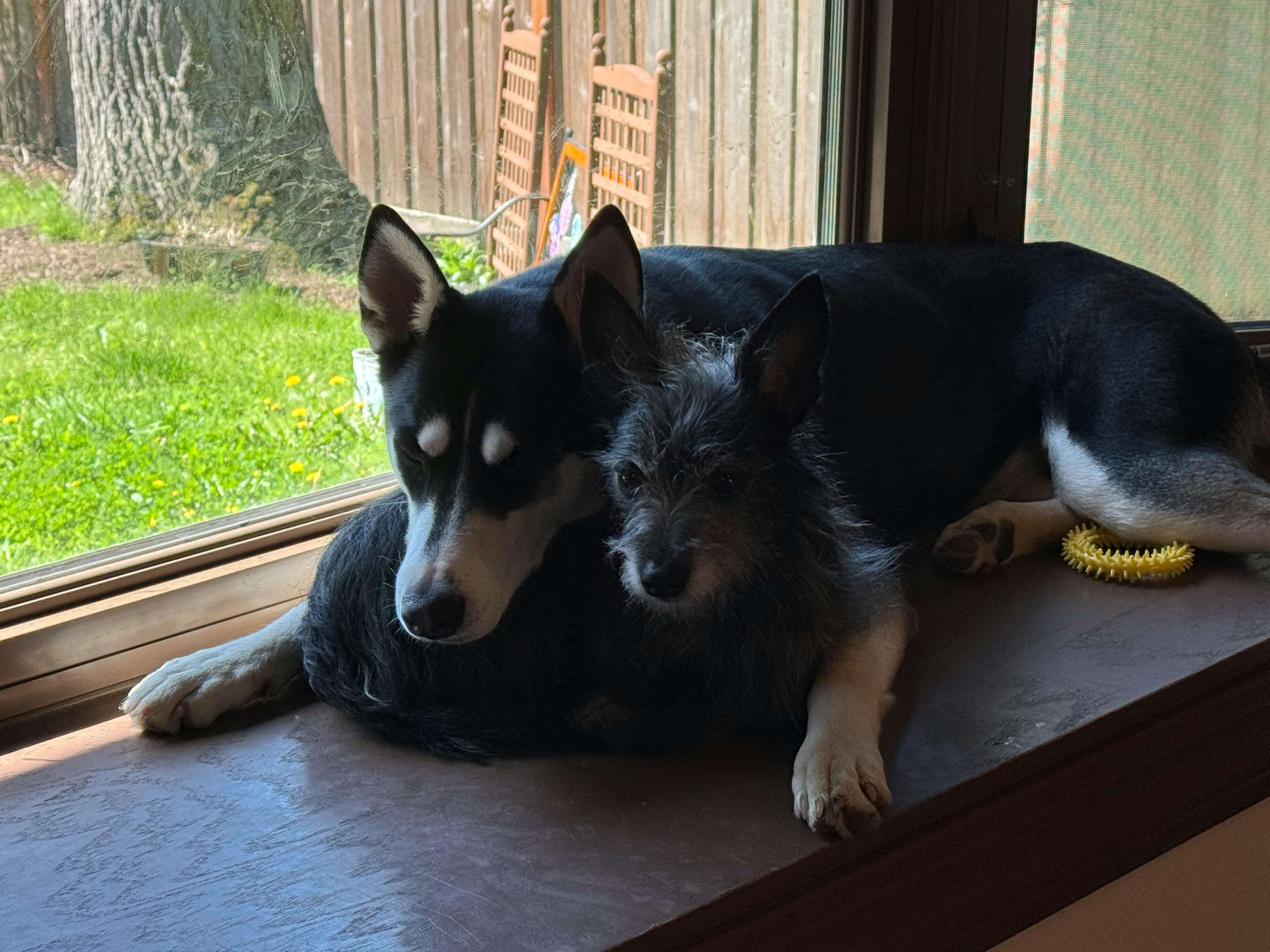 user avatar image for Brianna Dukes