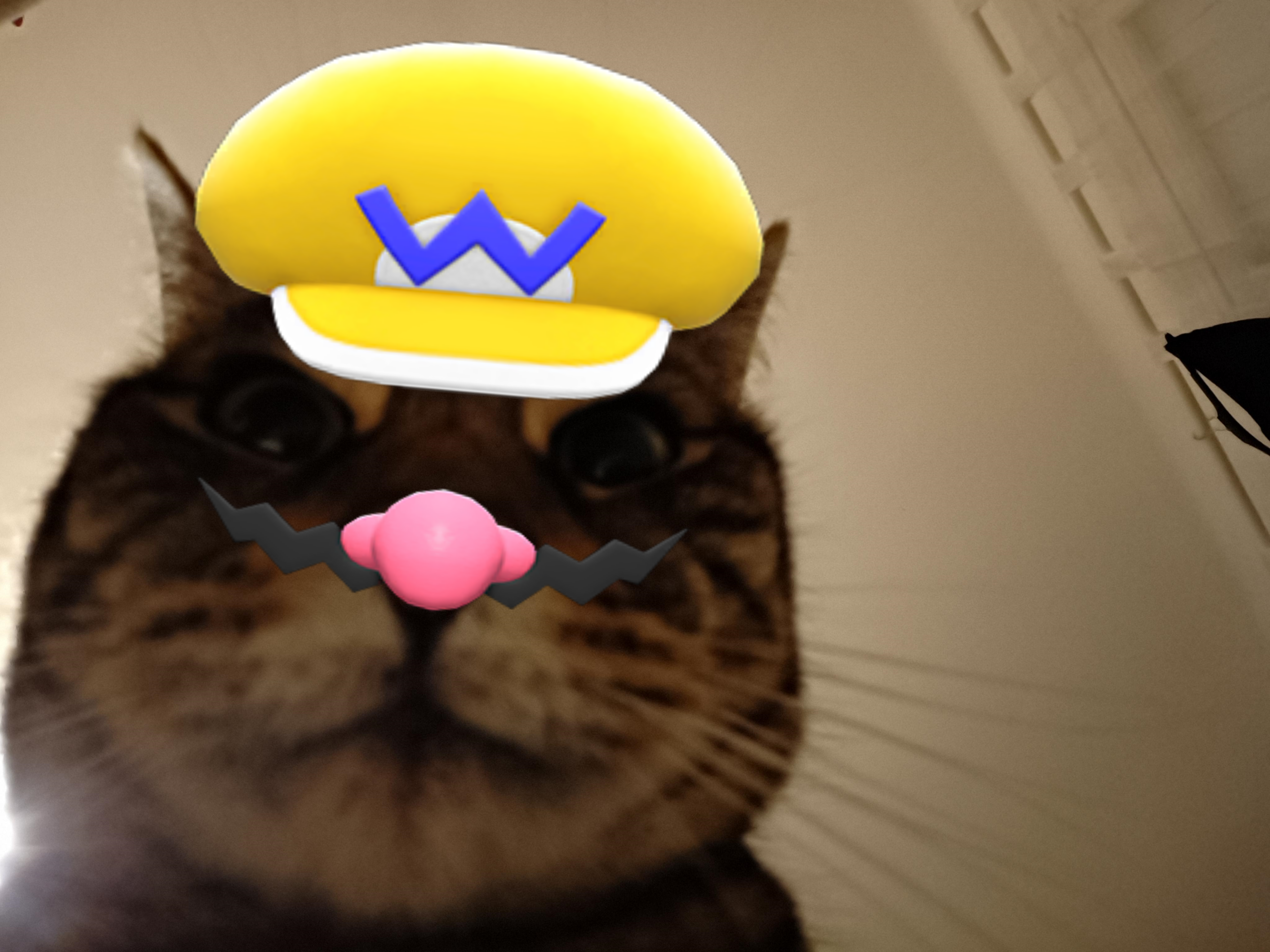 user avatar image for Wakte
