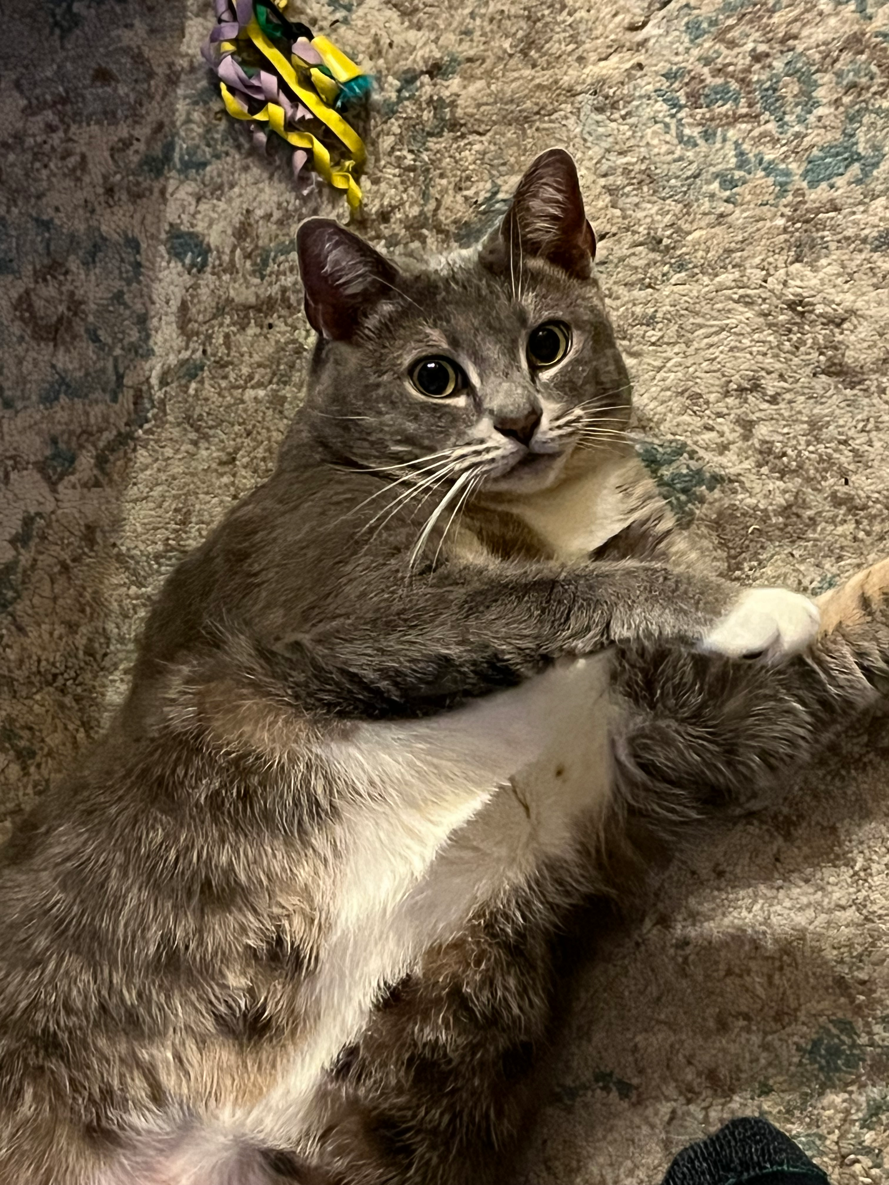 user avatar image for Chris