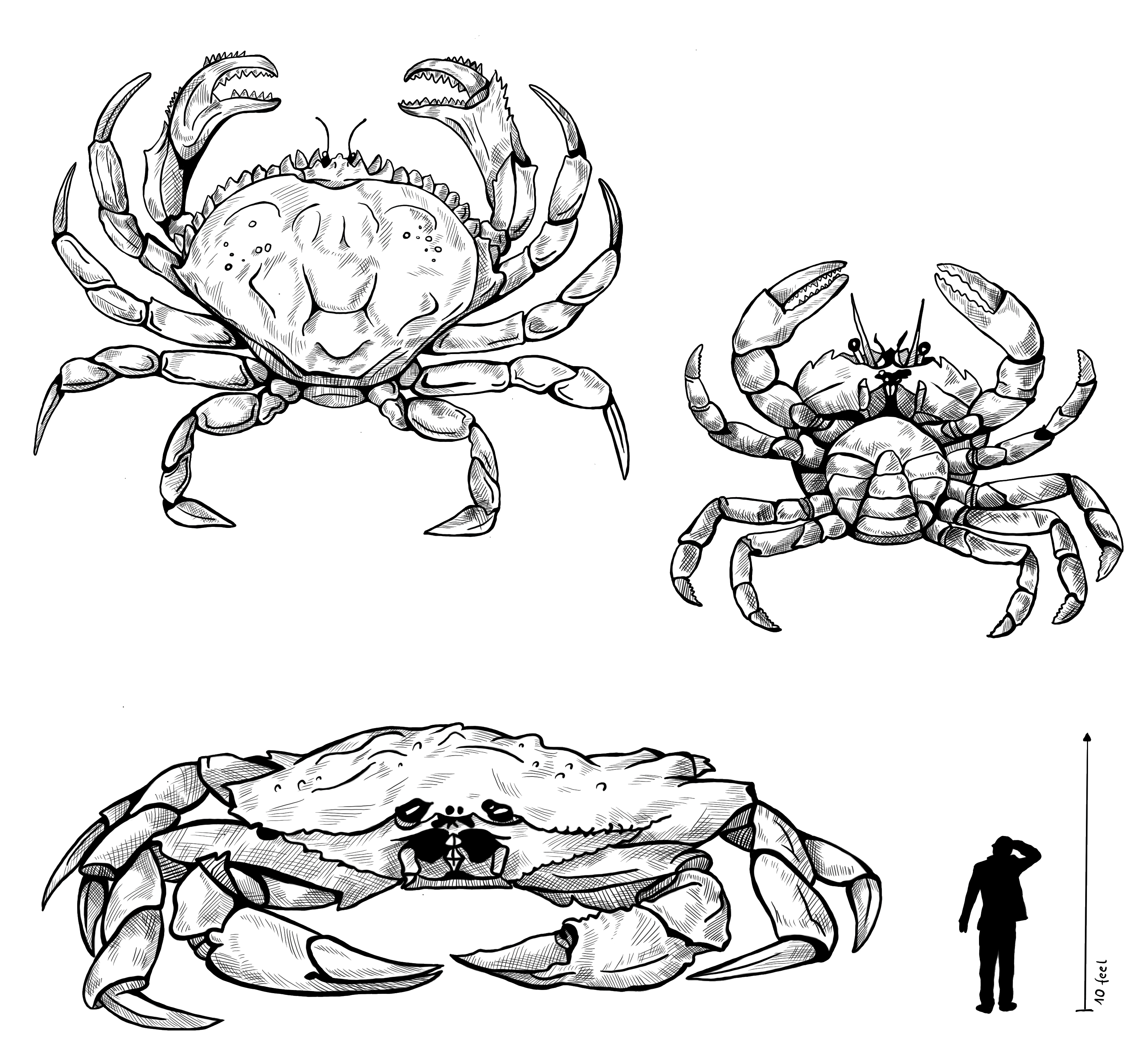 Megacrab