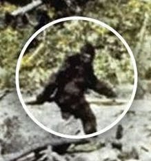 user avatar image for Uber