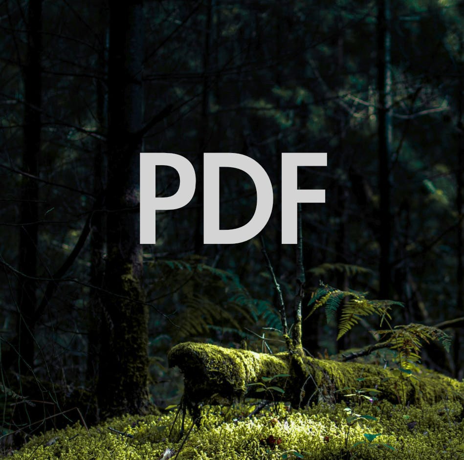 The PDF Zines of Metal Scraps Covered in Moss
