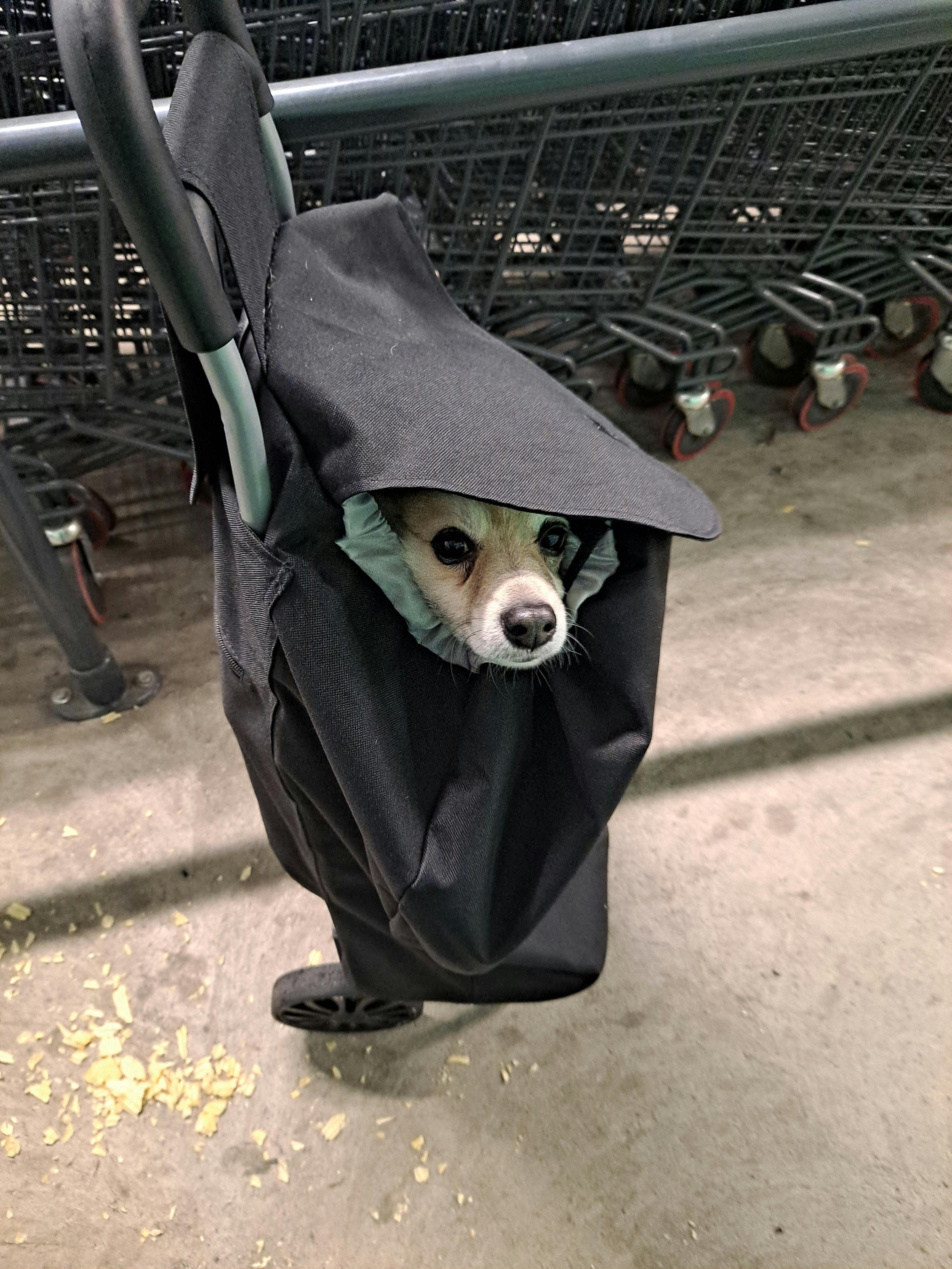 user avatar image for Zefroy