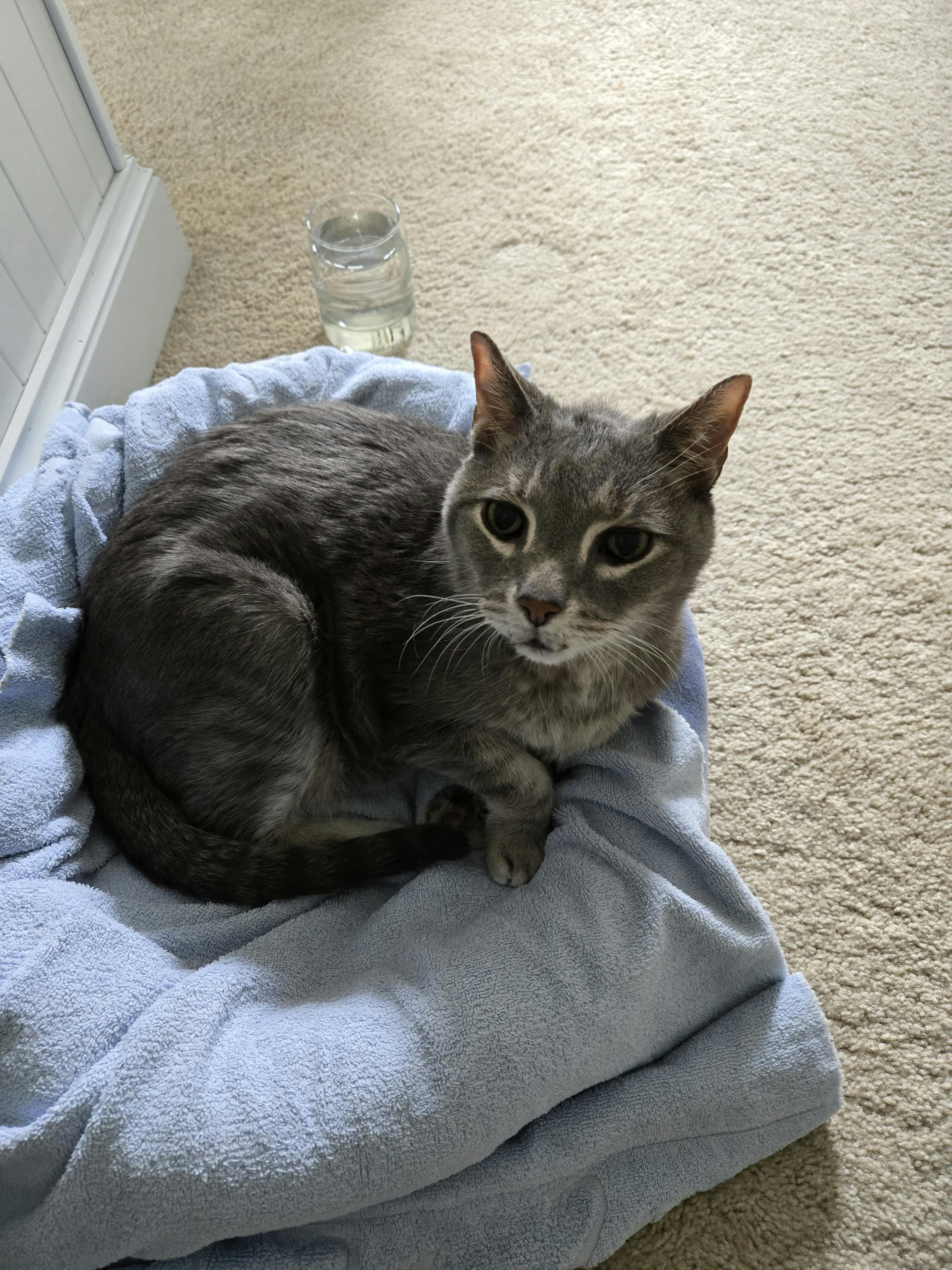 user avatar image for Jay Kohn