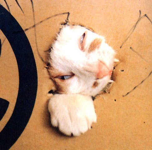 user avatar image for Lance Hurst