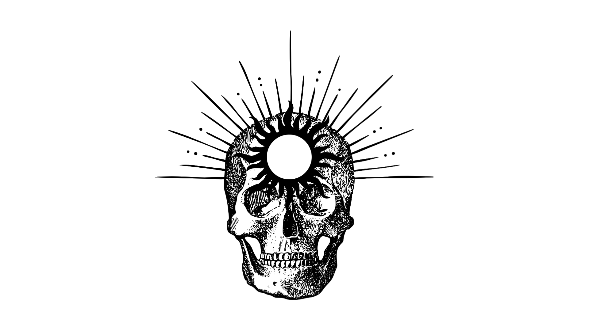 user avatar image for New_Light