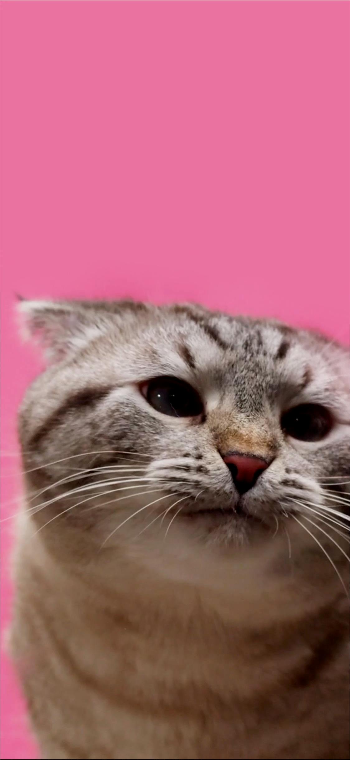 user avatar image for Laura Mills