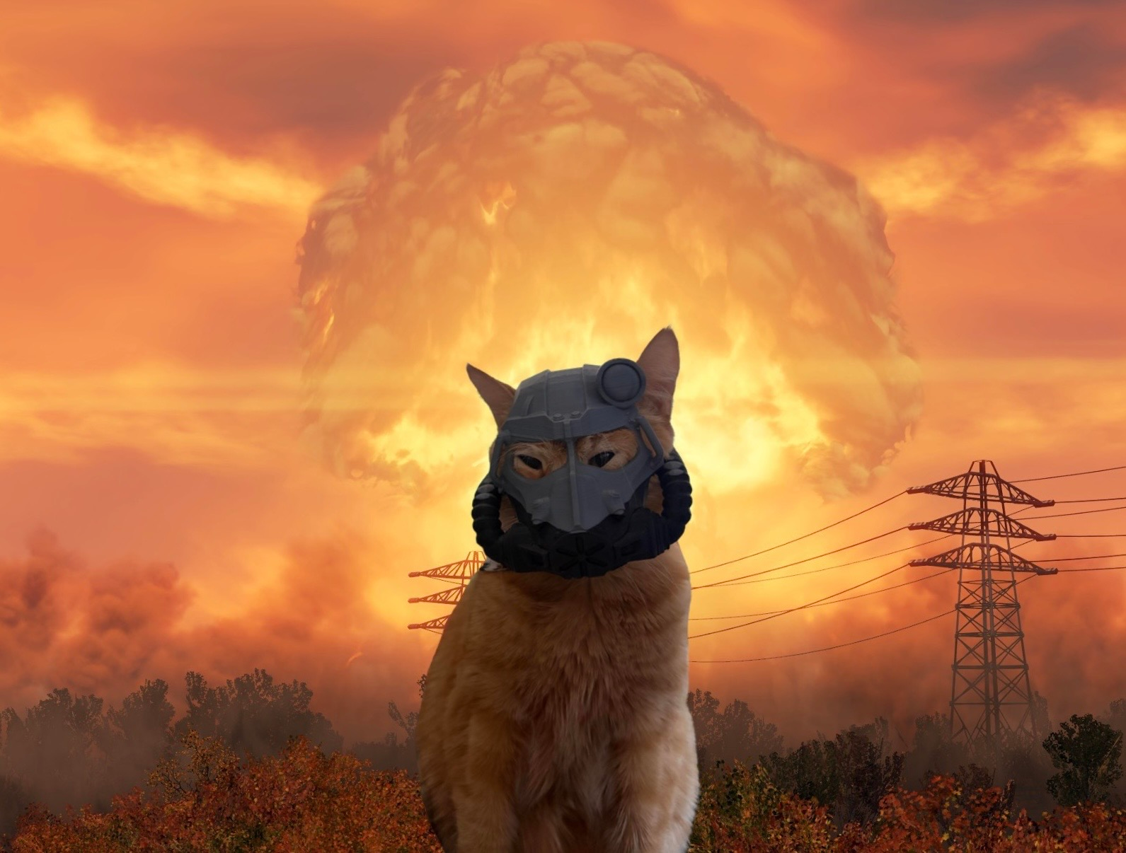 user avatar image for August Hawthorne